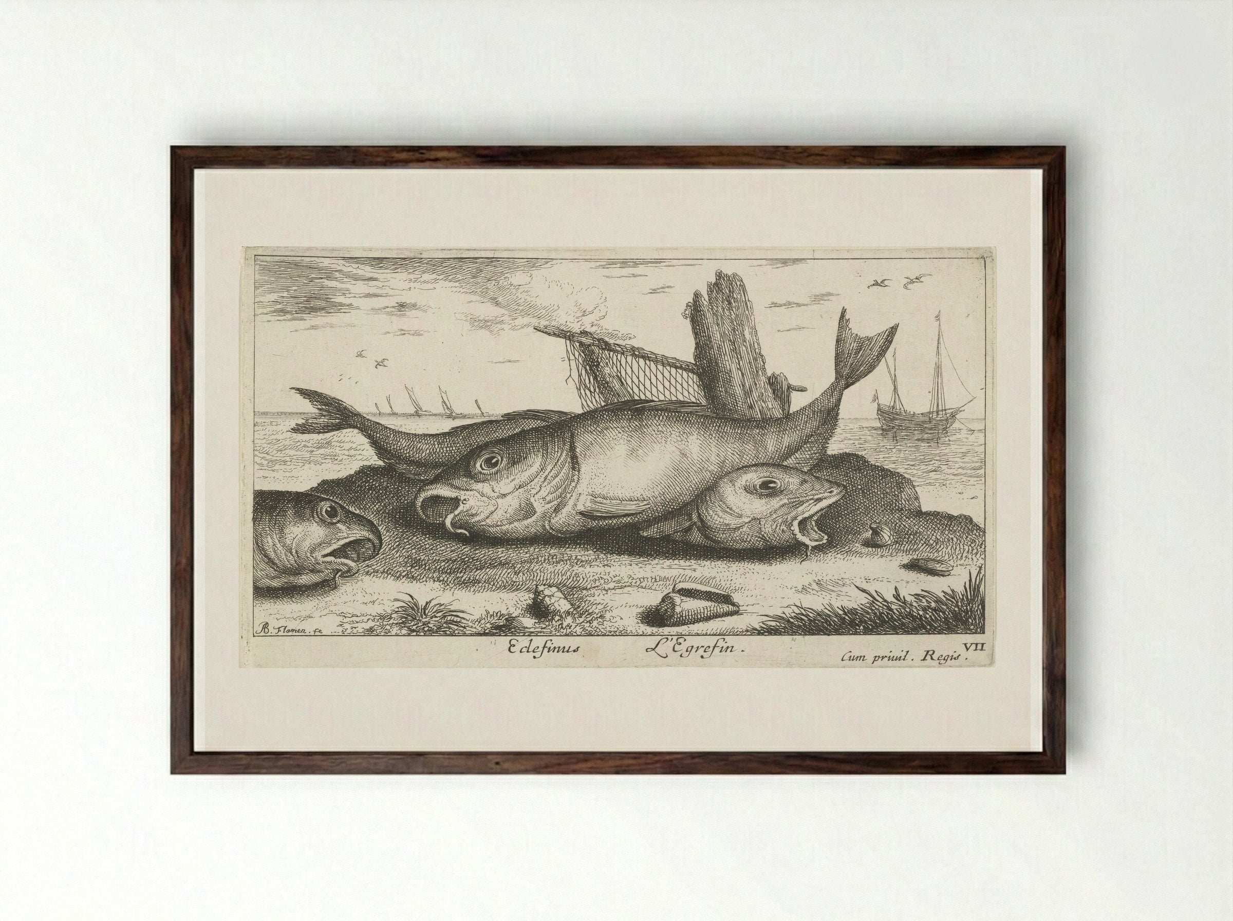Drie schelvissen op het strand - Albert Flamen - Framed Print Dark Wood