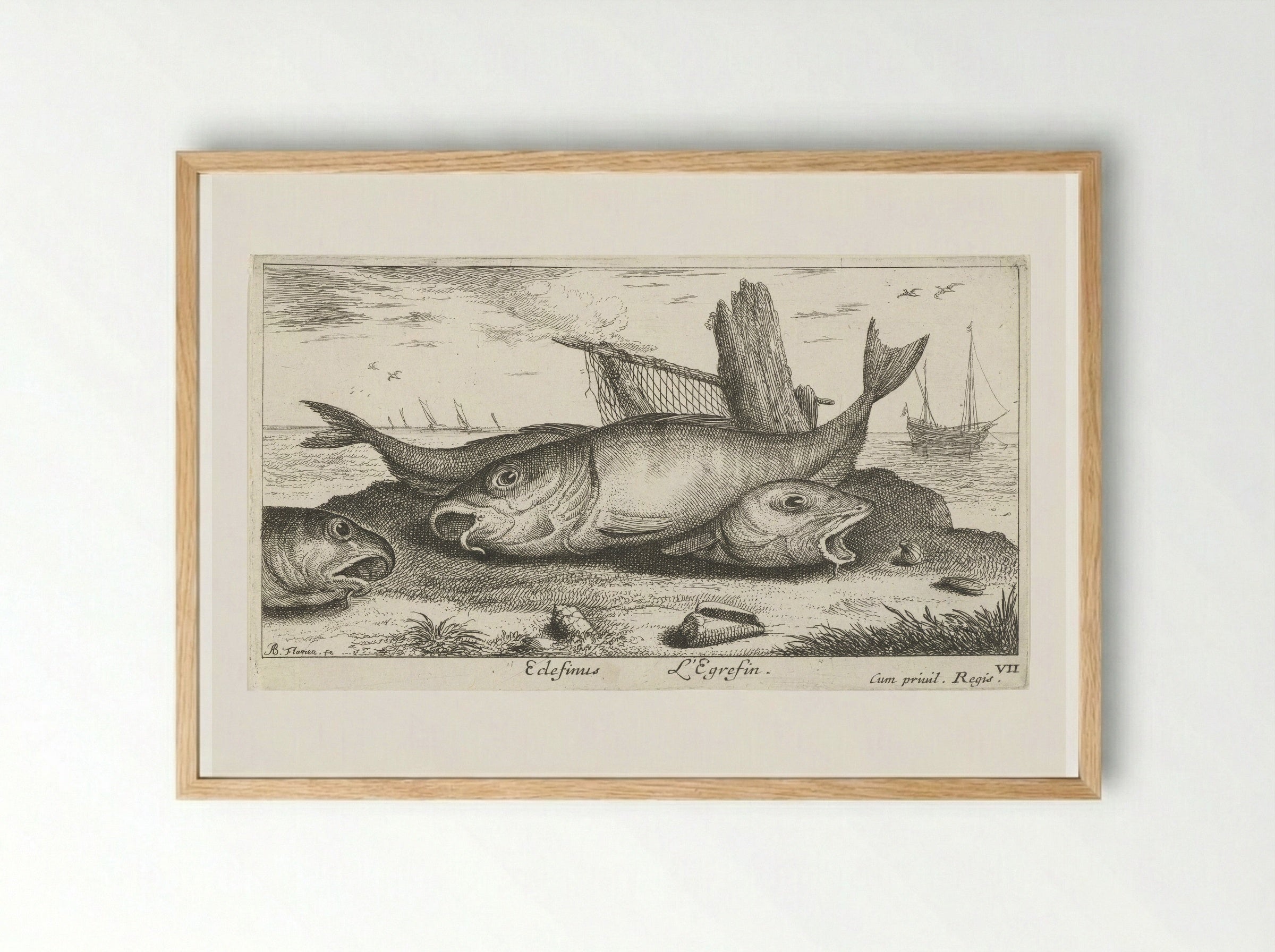 Drie schelvissen op het strand - Albert Flamen - Framed Print Wood