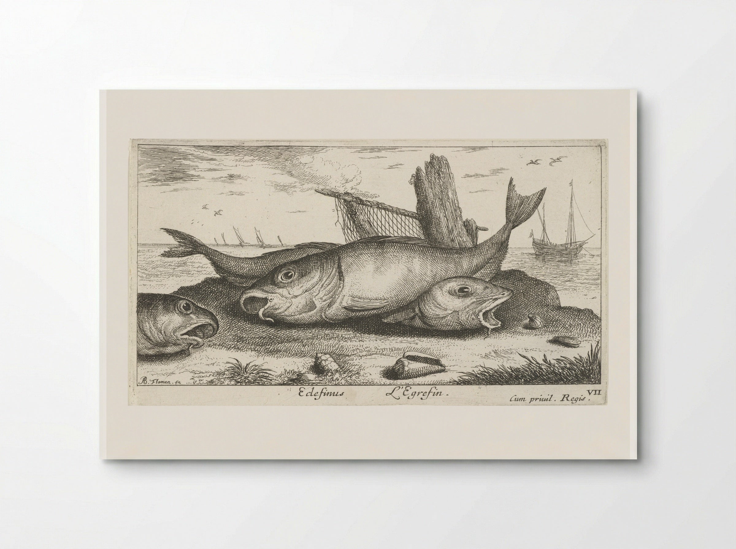 Drie schelvissen op het strand - Albert Flamen - Poster