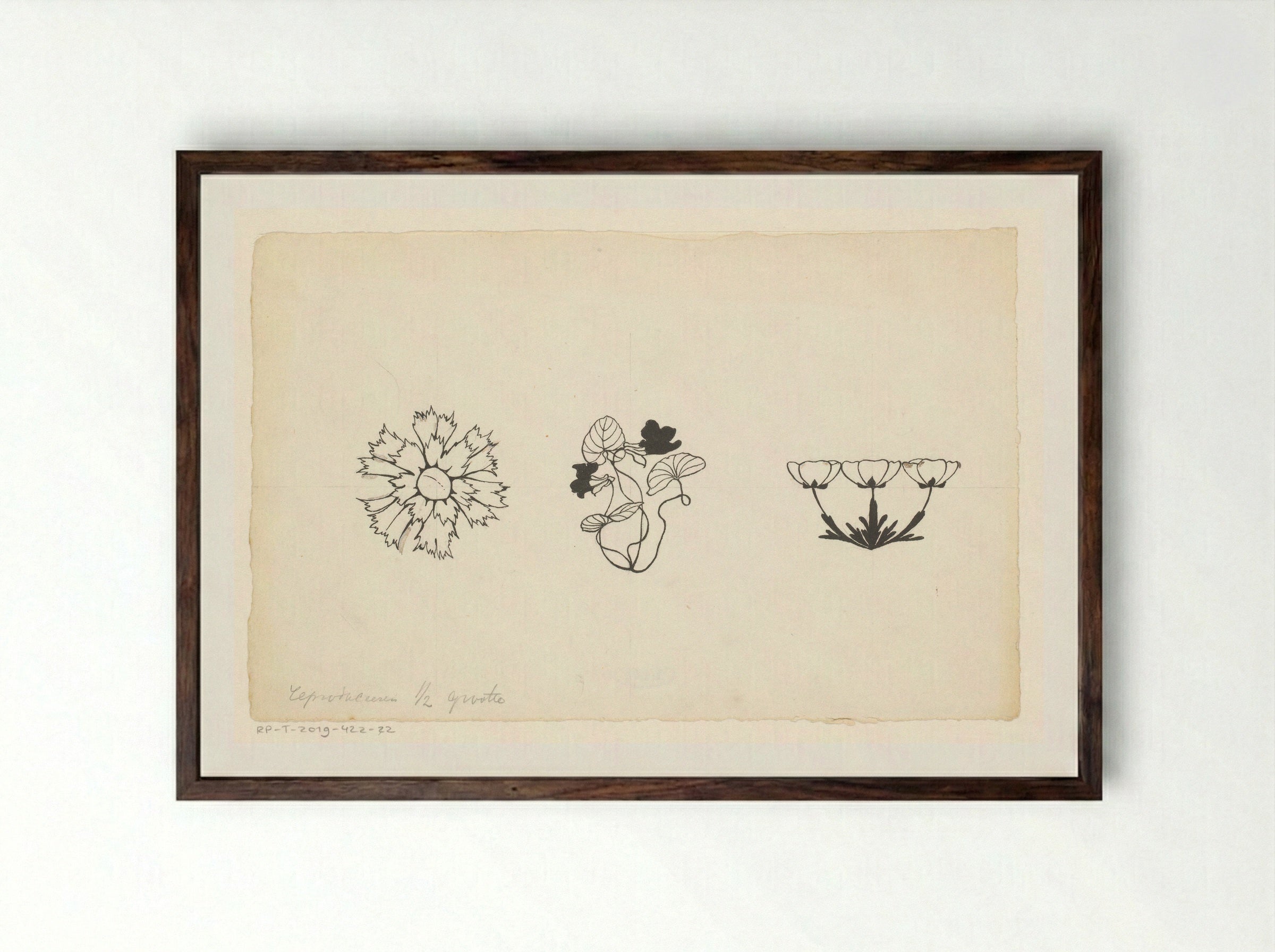 Drie soorten bloemen - Willem Wenckebach - Framed Print Dark Wood