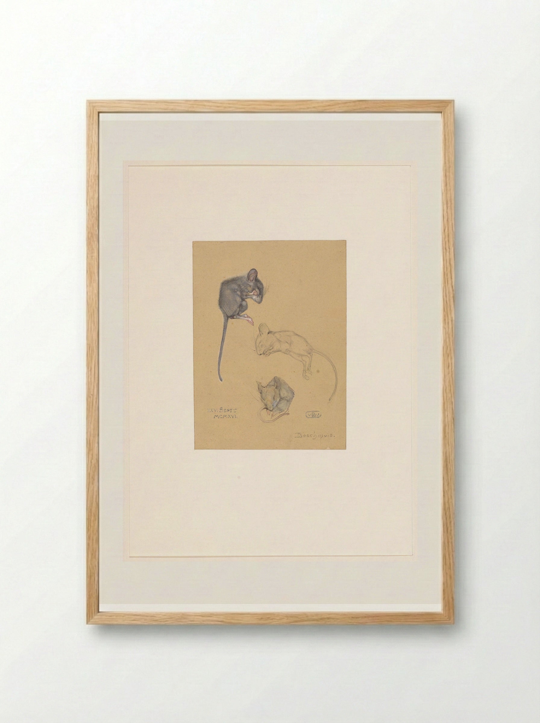 Drie studies van een bosmuis - Bernard Willem Wierink - Framed Print Wood