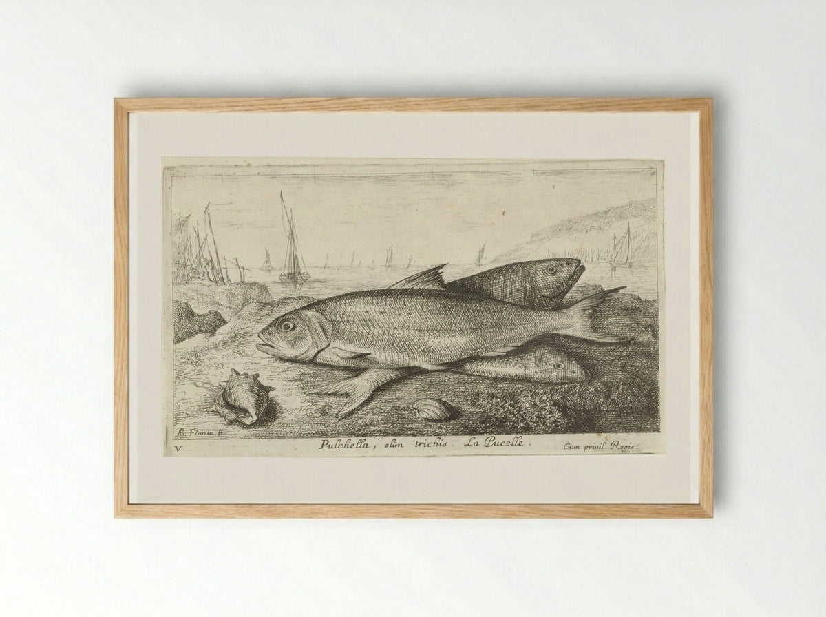 Drie vissen op het strand - Jacques van Merlen - Framed Print Wood