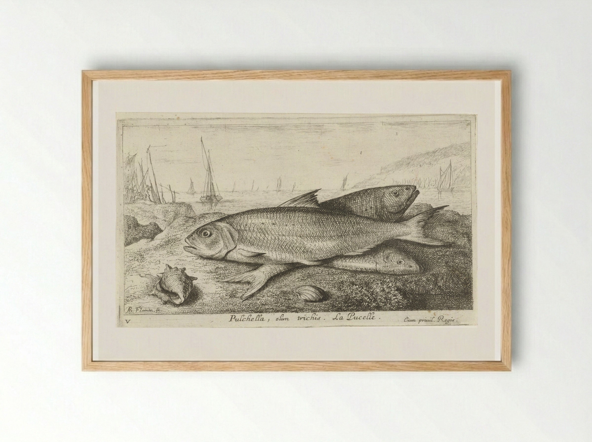 Drie vissen op het strand - Jacques van Merlen - Framed Print Wood