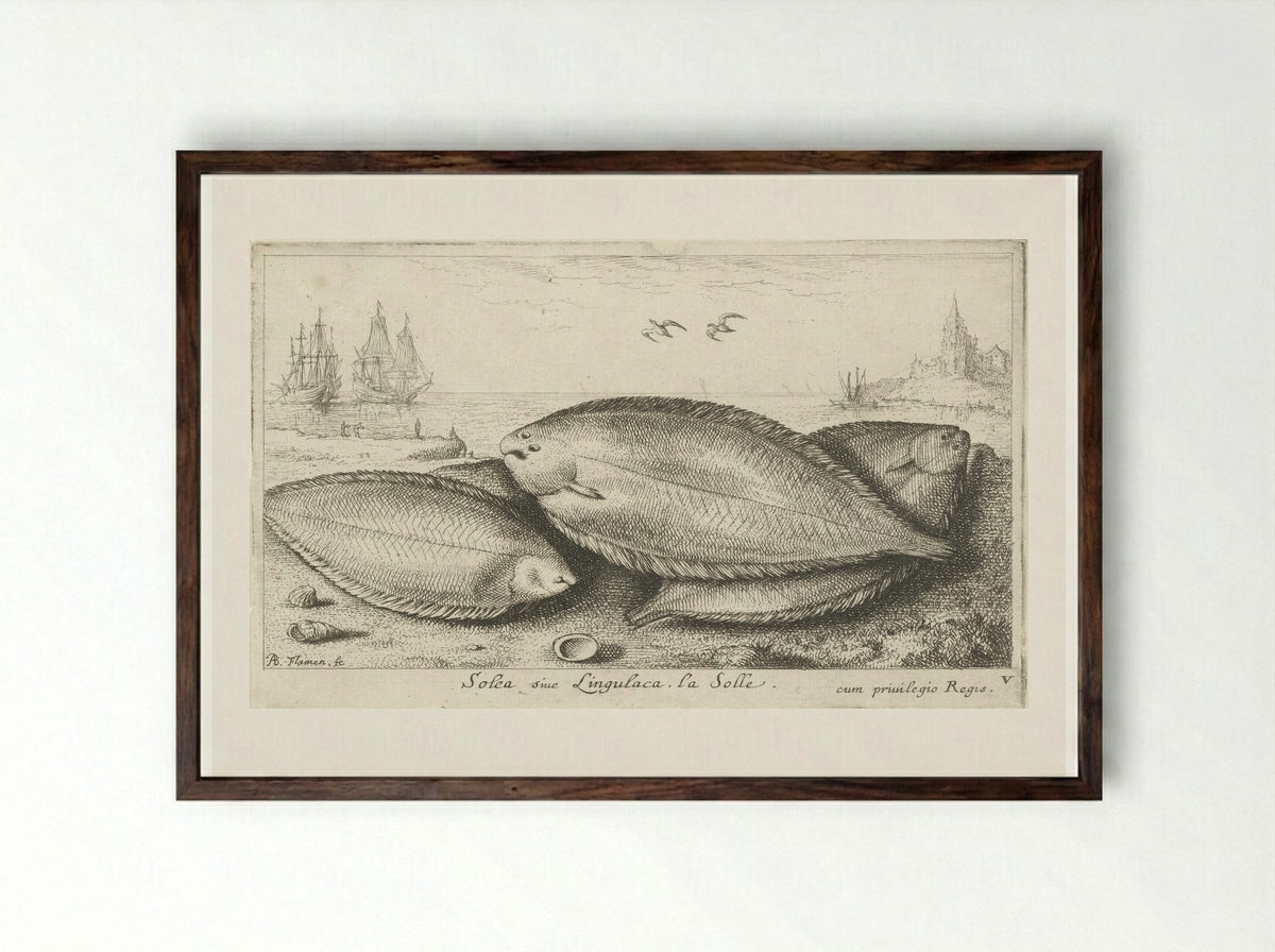 Drie zeetongen op het strand - Albert Flamen - Framed Print Dark Wood