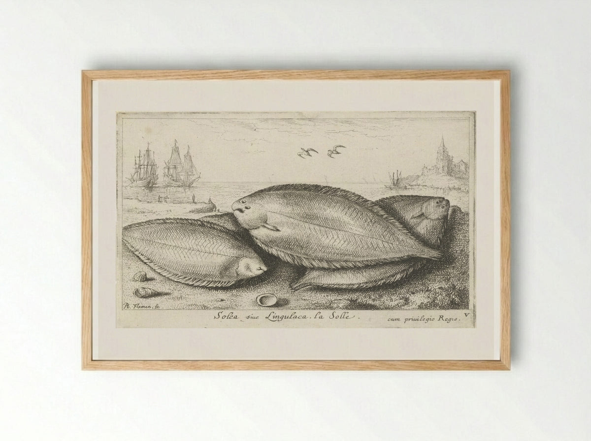 Drie zeetongen op het strand - Albert Flamen - Framed Print Wood