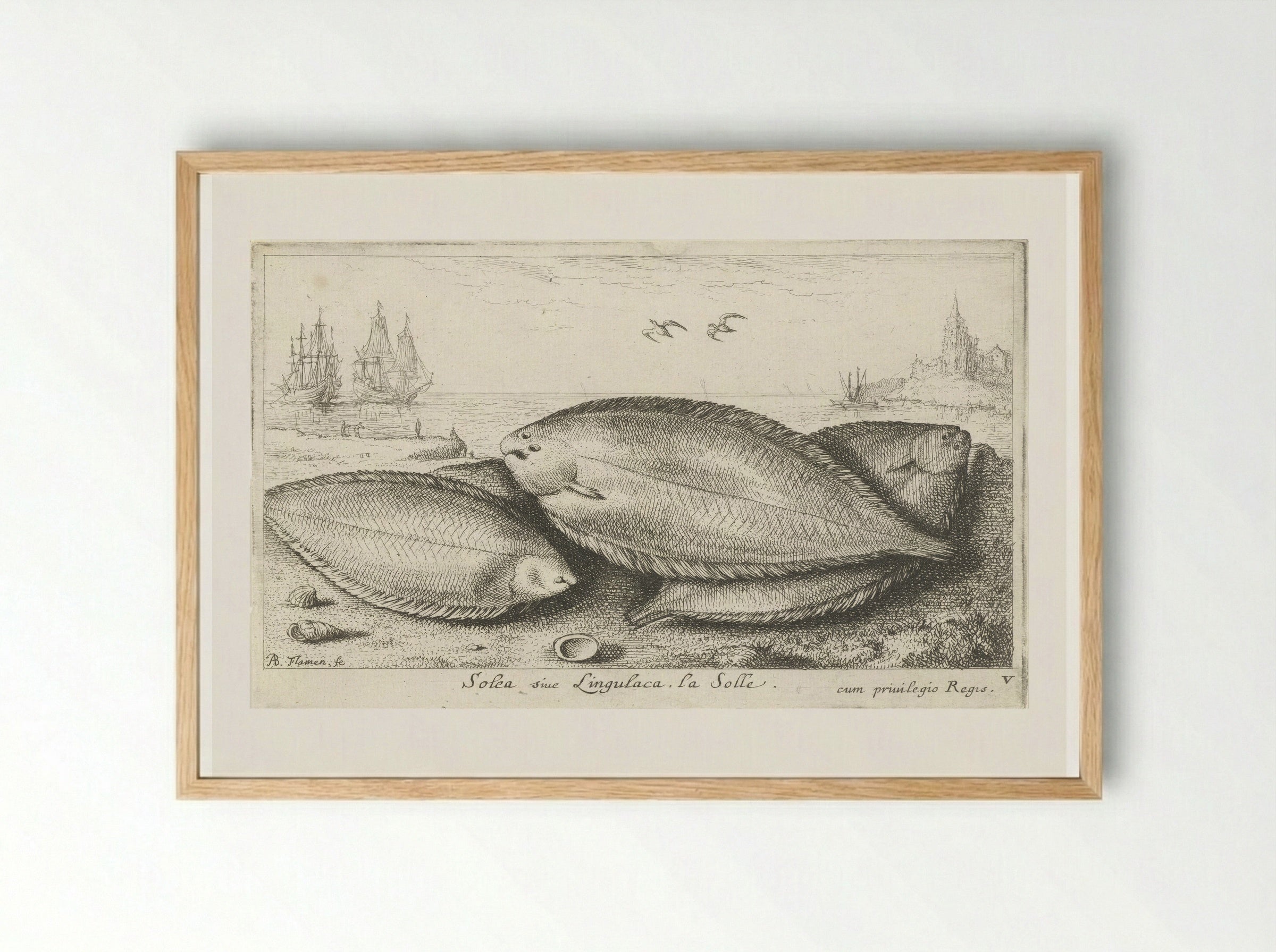 Drie zeetongen op het strand - Albert Flamen - Framed Print Wood