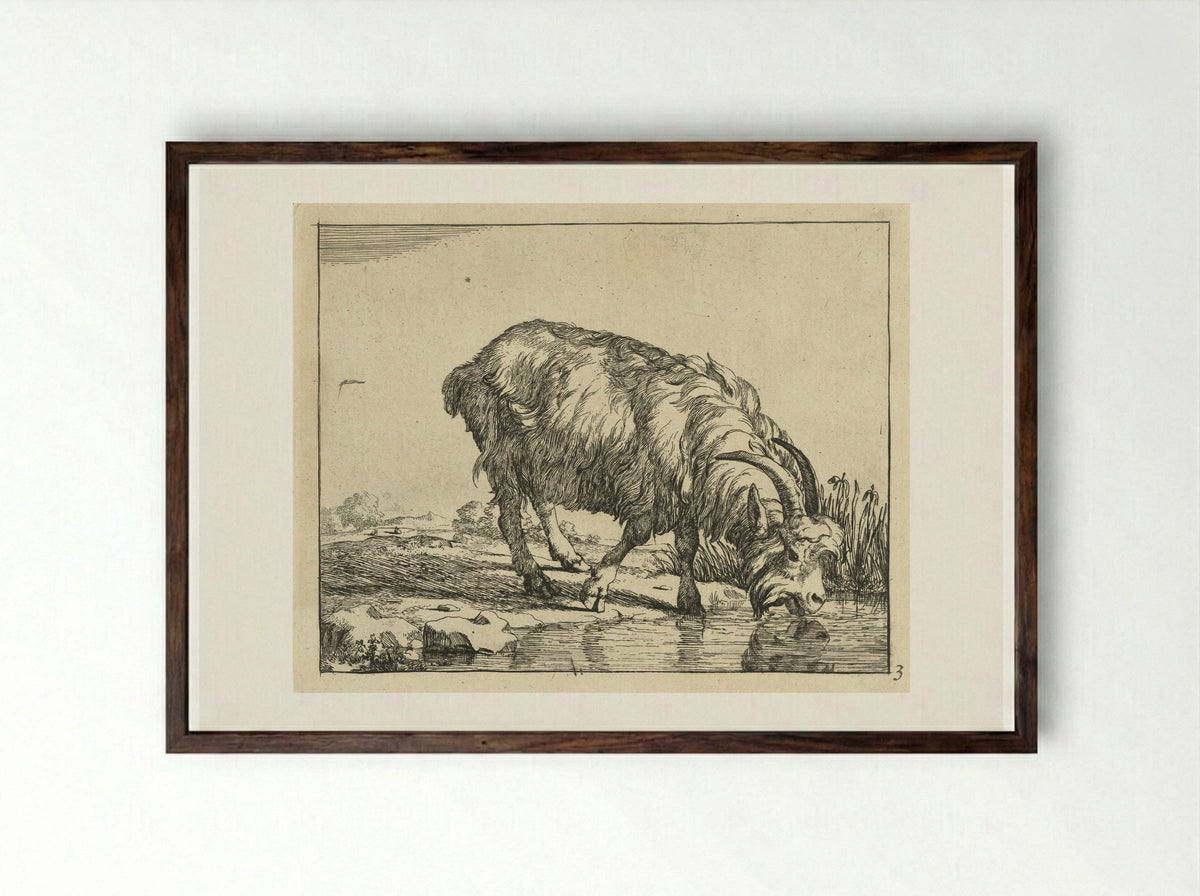 Drinkende bok - Marcus de Bye - Framed Print Dark Wood