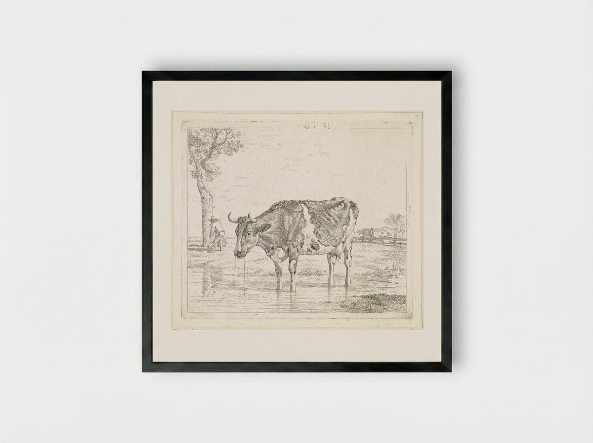 Drinkende koe - Wouter Johannes van Troostwijk - Framed Print Black