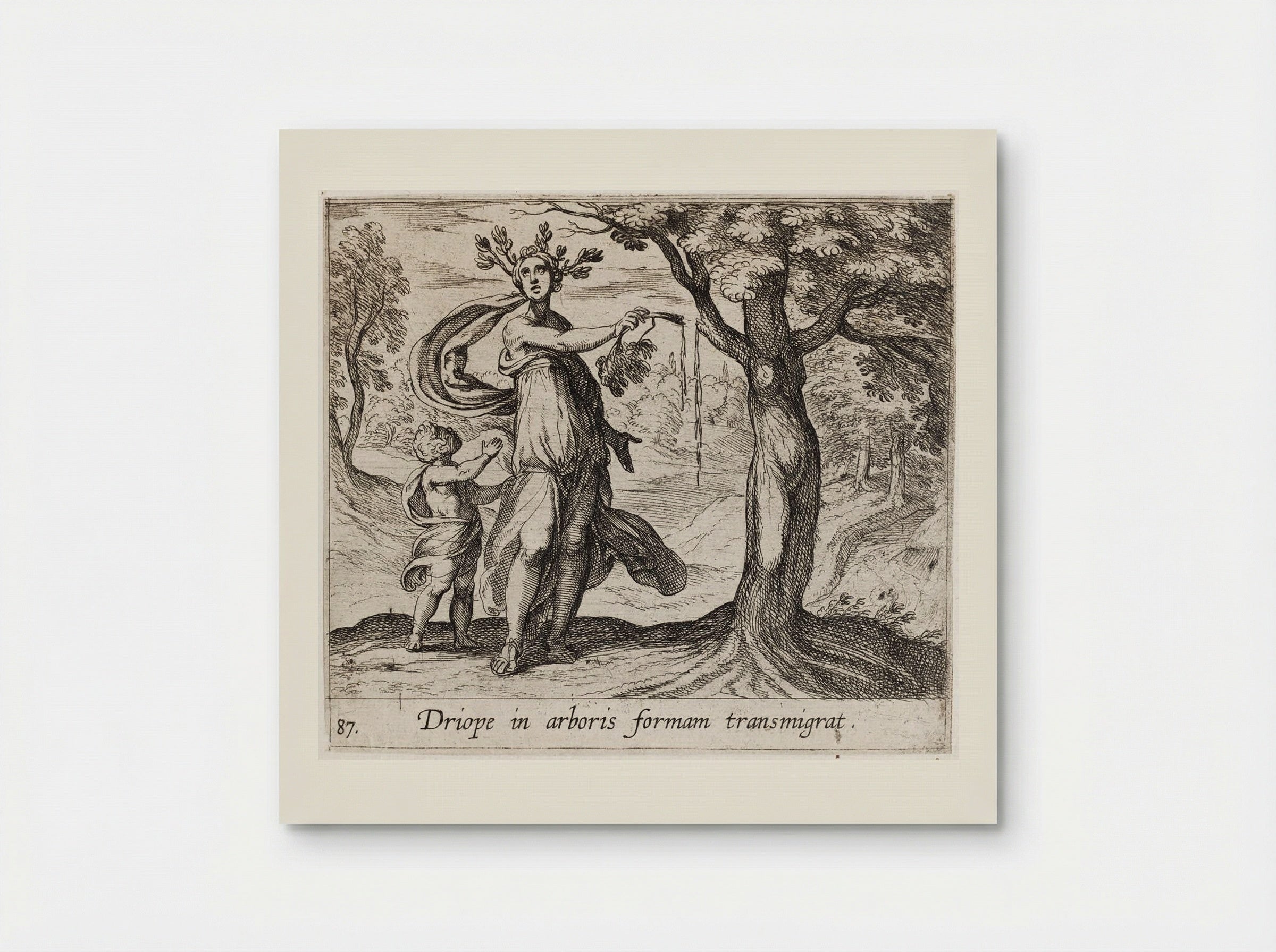 Dryope Changed into a Lotus Tree - Antonio Tempesta - Poster