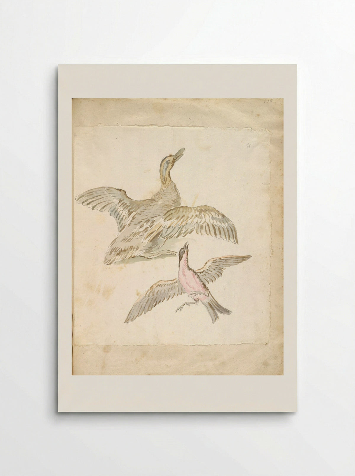 Duck and Bird, both with Wings Extended - Jean-Baptiste Oudry - Poster