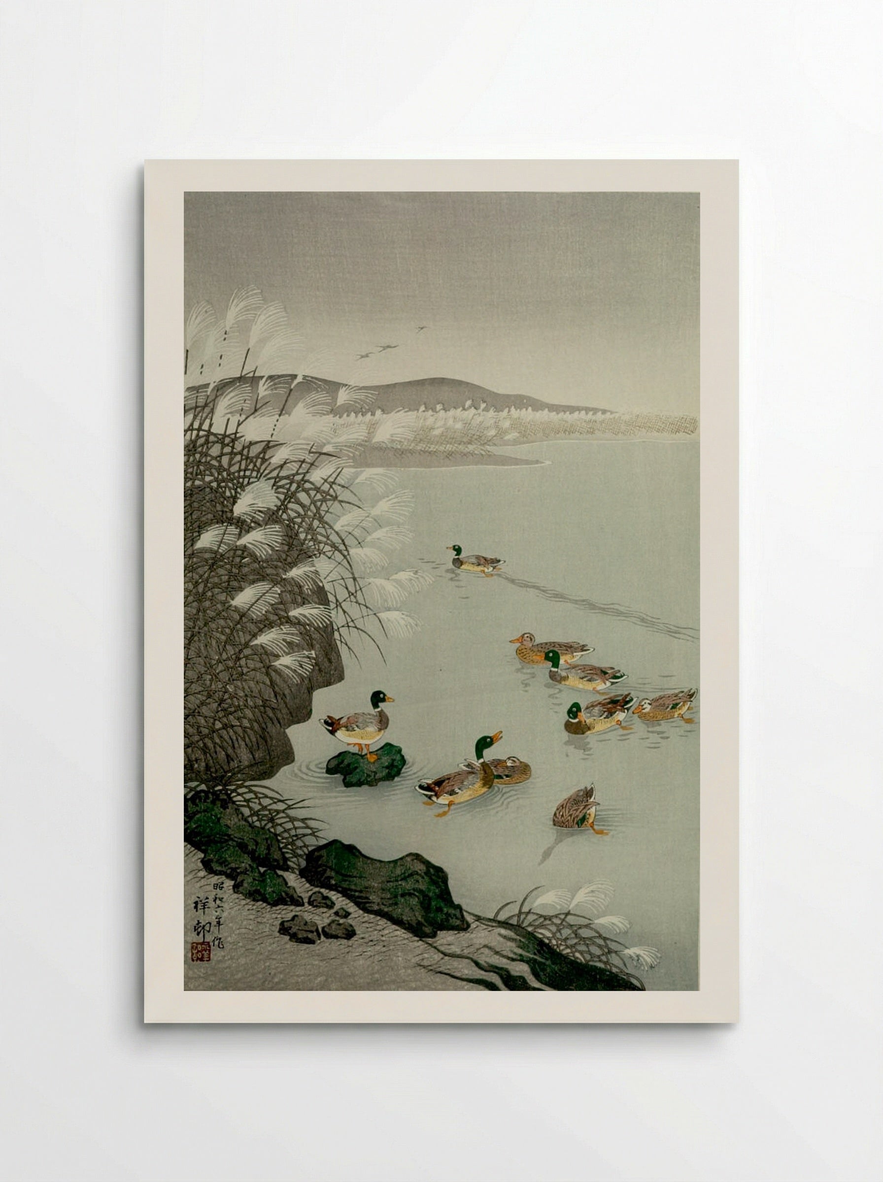 Ducks Swimming under Lakeside Reeds - Ohara Koson - Poster