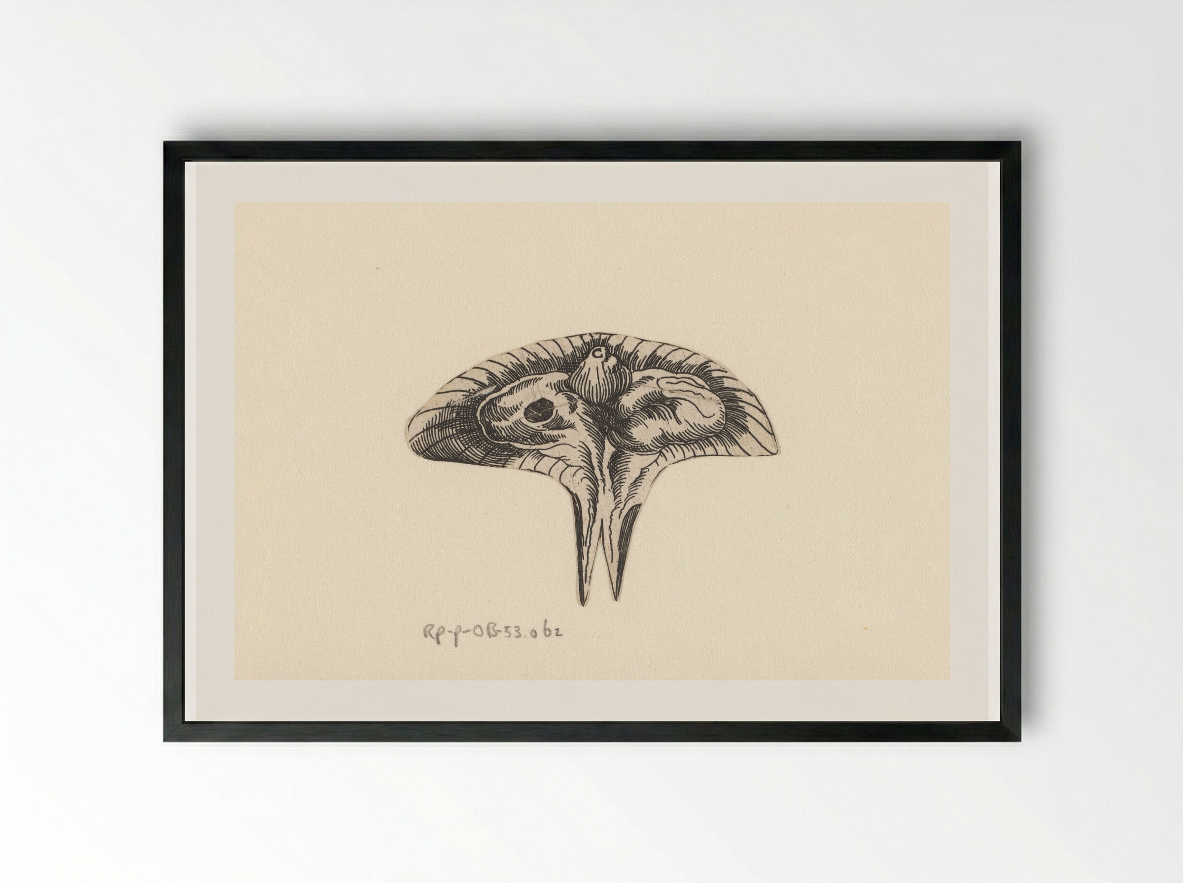 Dwarsdoorsnede baarmoeder - Lucas Kilian - Framed Print Black