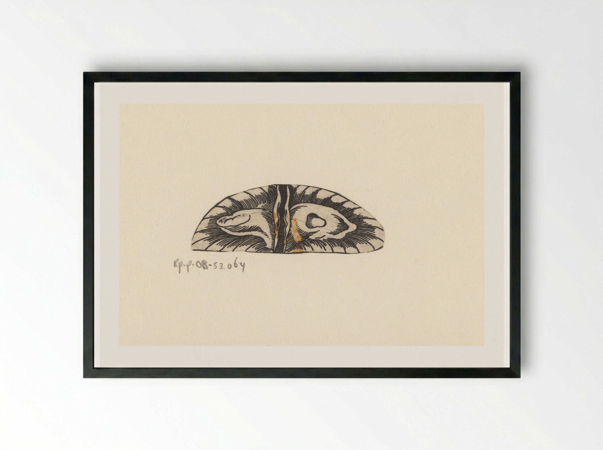 Dwarsdoorsnede blaas - Lucas Kilian - Framed Print Black