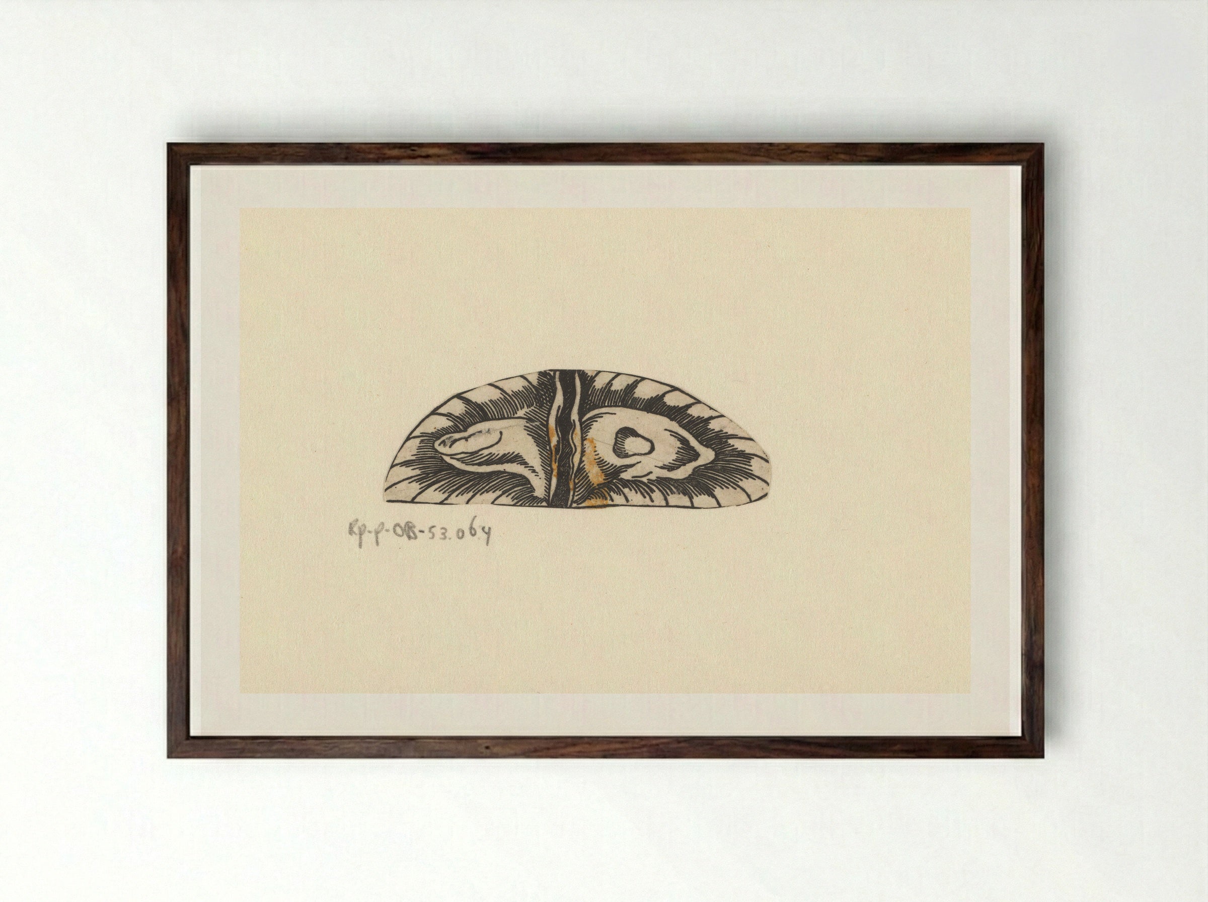Dwarsdoorsnede blaas - Lucas Kilian - Framed Print Dark Wood