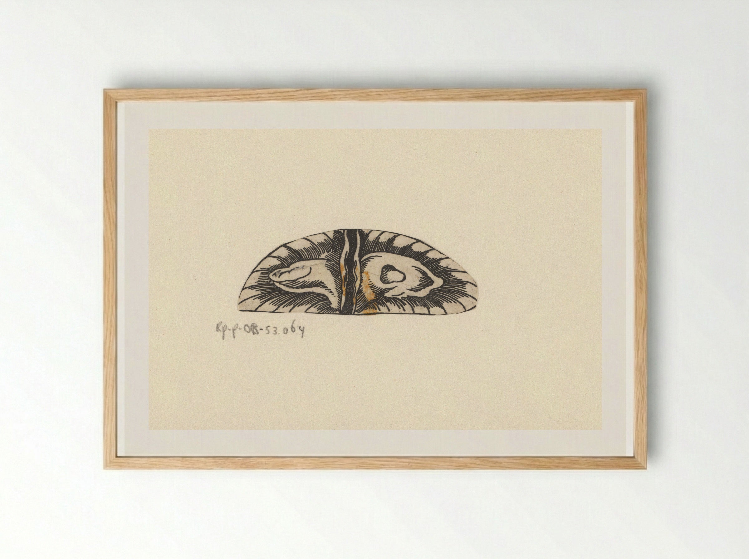 Dwarsdoorsnede blaas - Lucas Kilian - Framed Print Wood