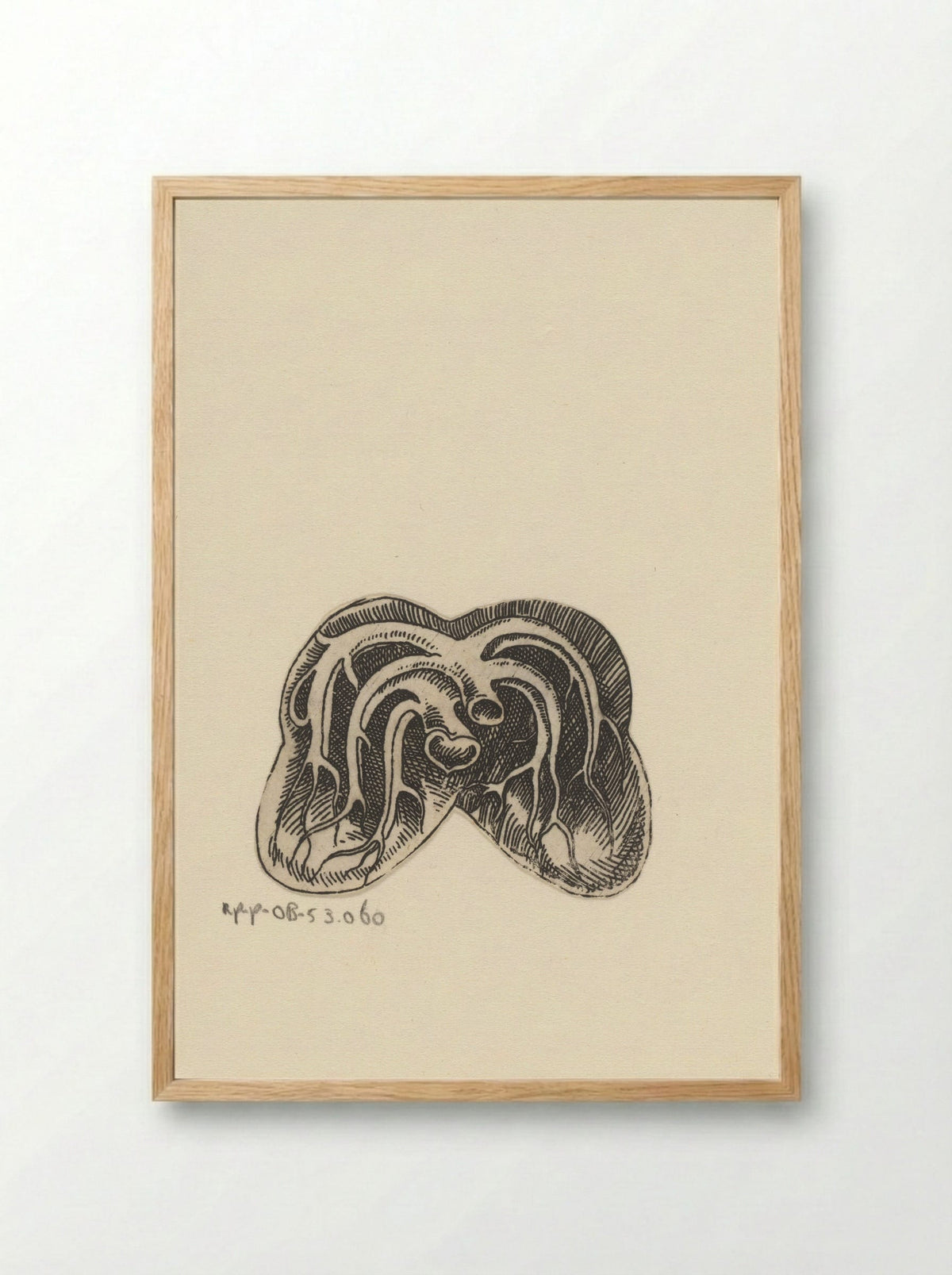 Dwarsdoorsnede longen - Lucas Kilian - Framed Print Wood