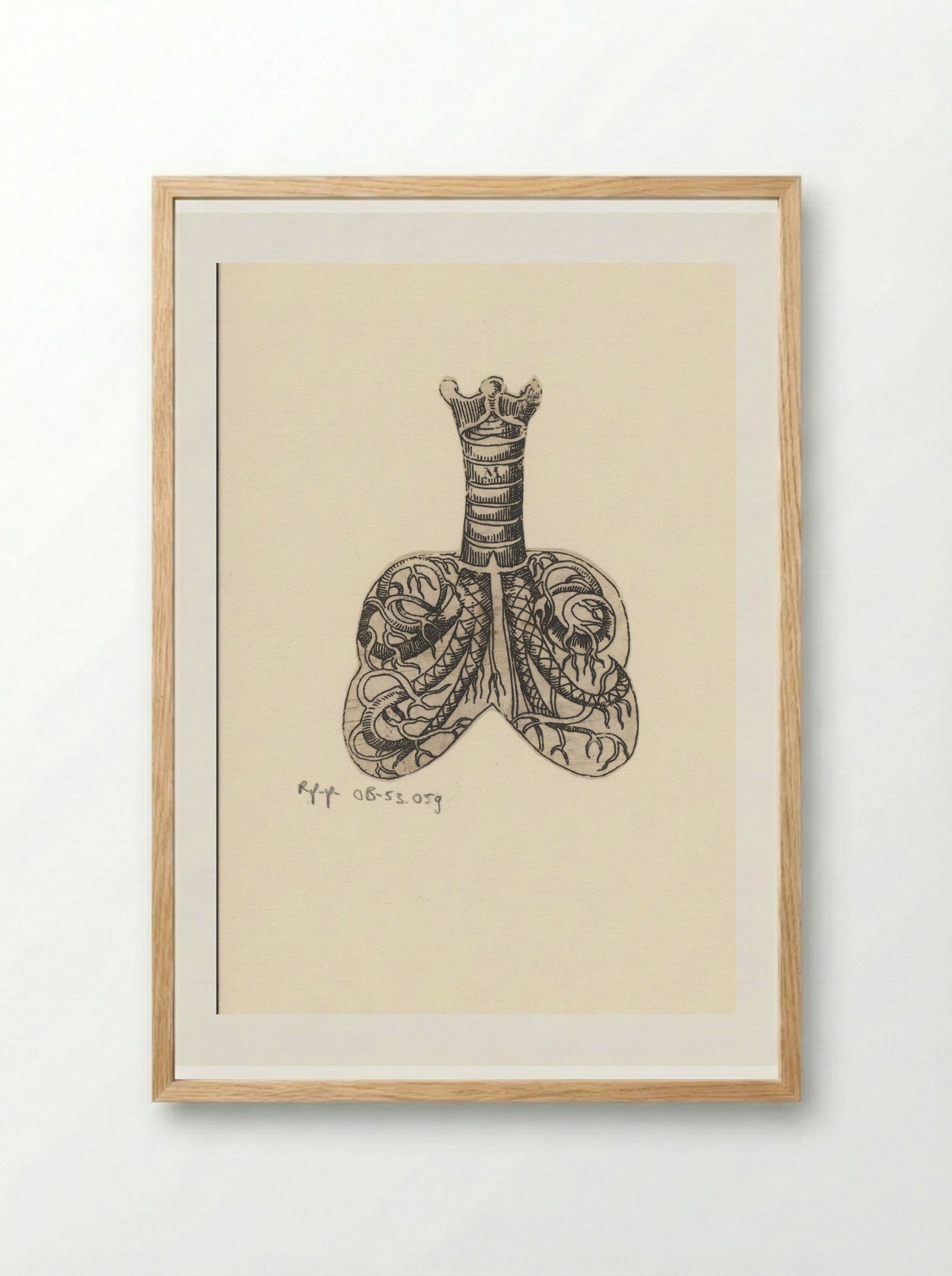 Dwarsdoorsnede luchtpijp en longen - Lucas Kilian - Framed Print Wood