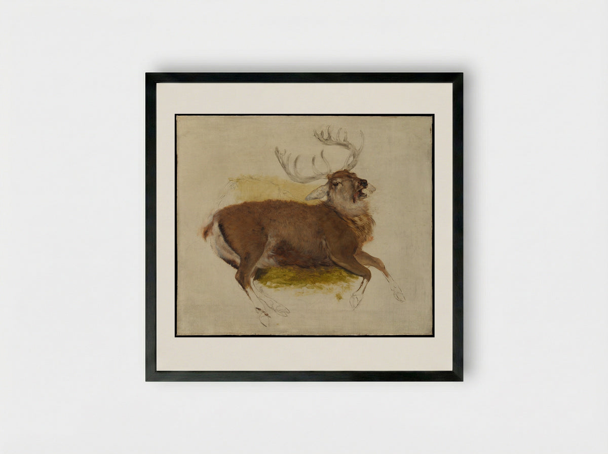 Dying Stag - Sir Edwin Henry Landseer - Framed Print Black