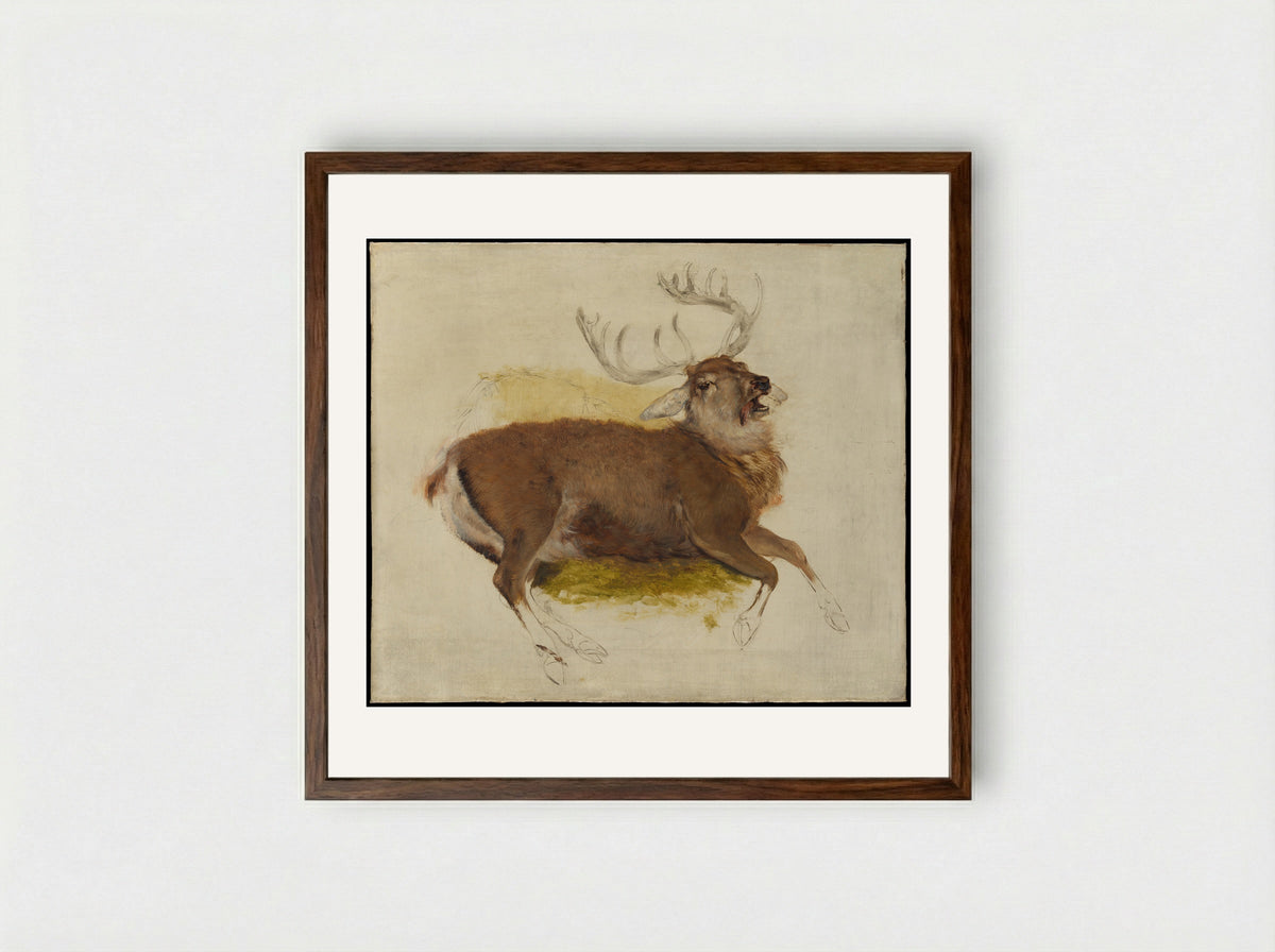 Dying Stag - Sir Edwin Henry Landseer - Framed Print Dark Wood