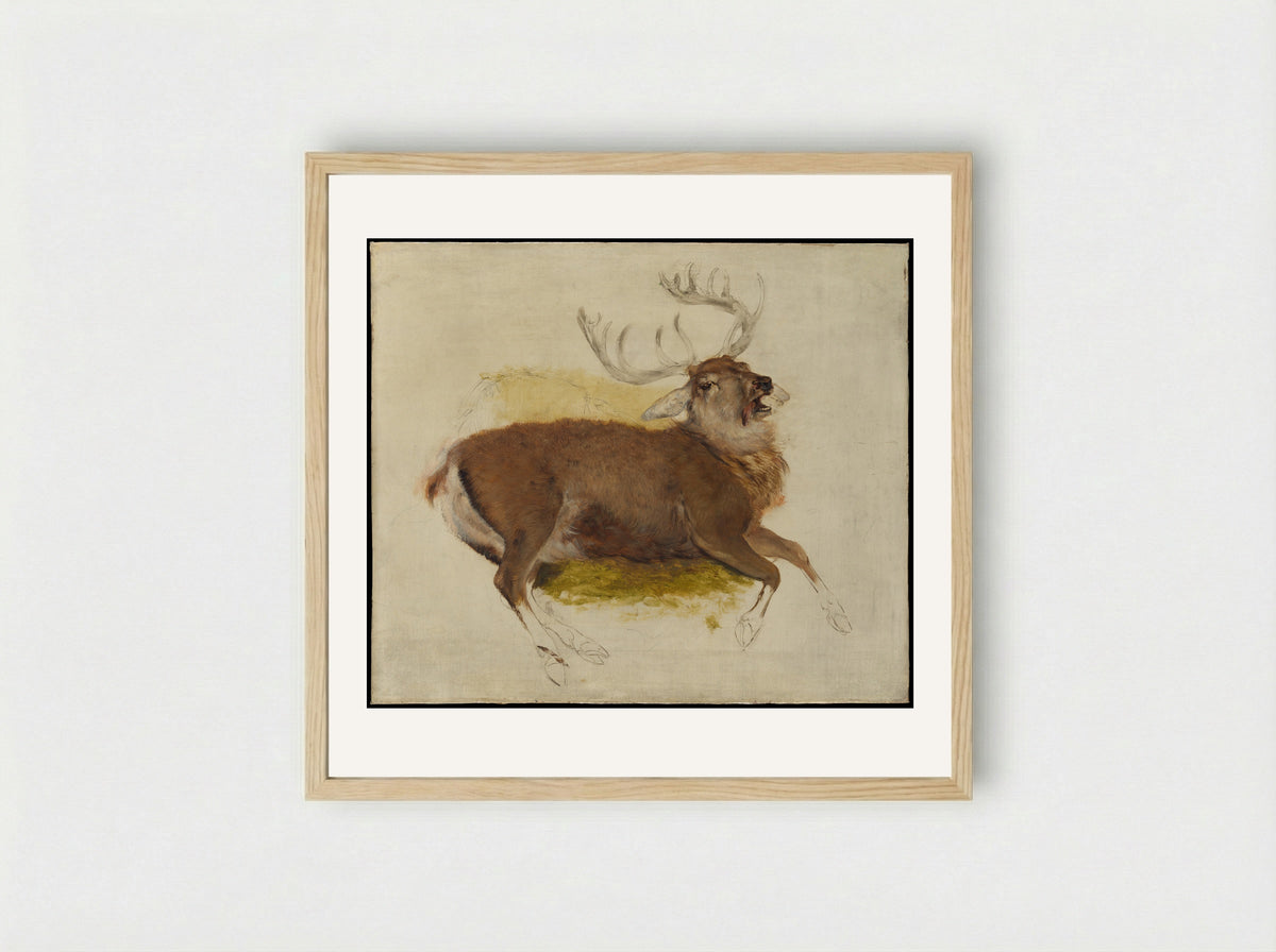 Dying Stag - Sir Edwin Henry Landseer - Framed Print Wood