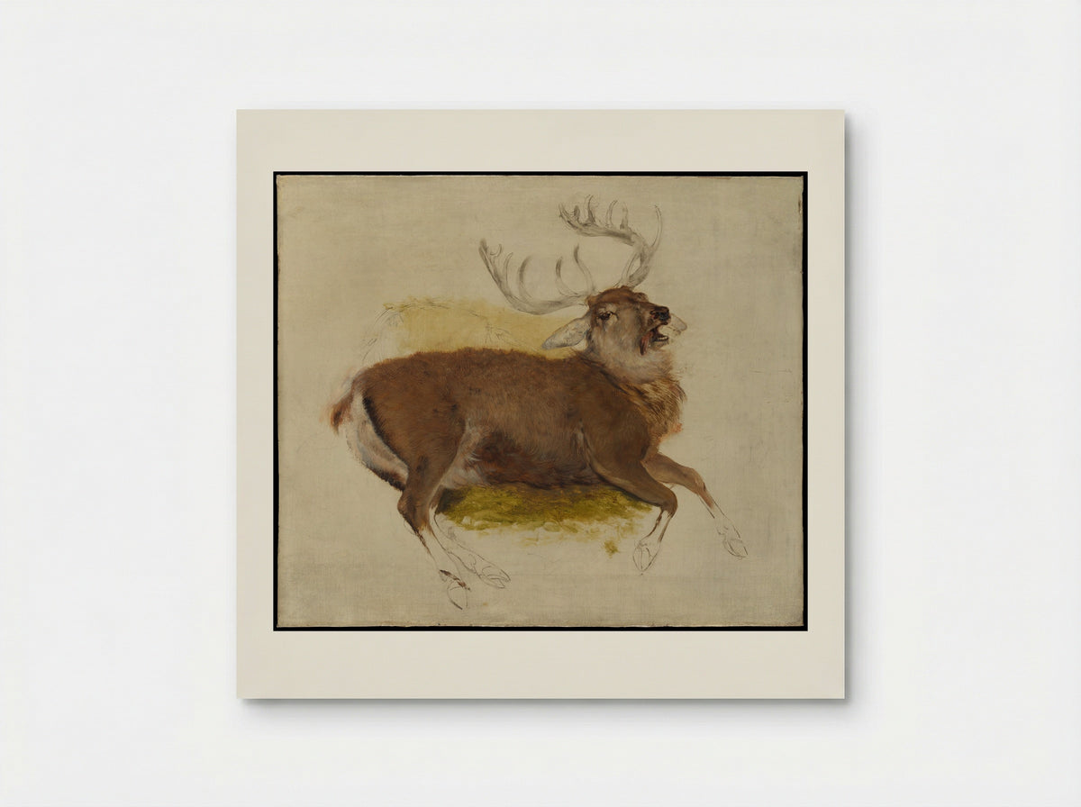 Dying Stag - Sir Edwin Henry Landseer - Poster