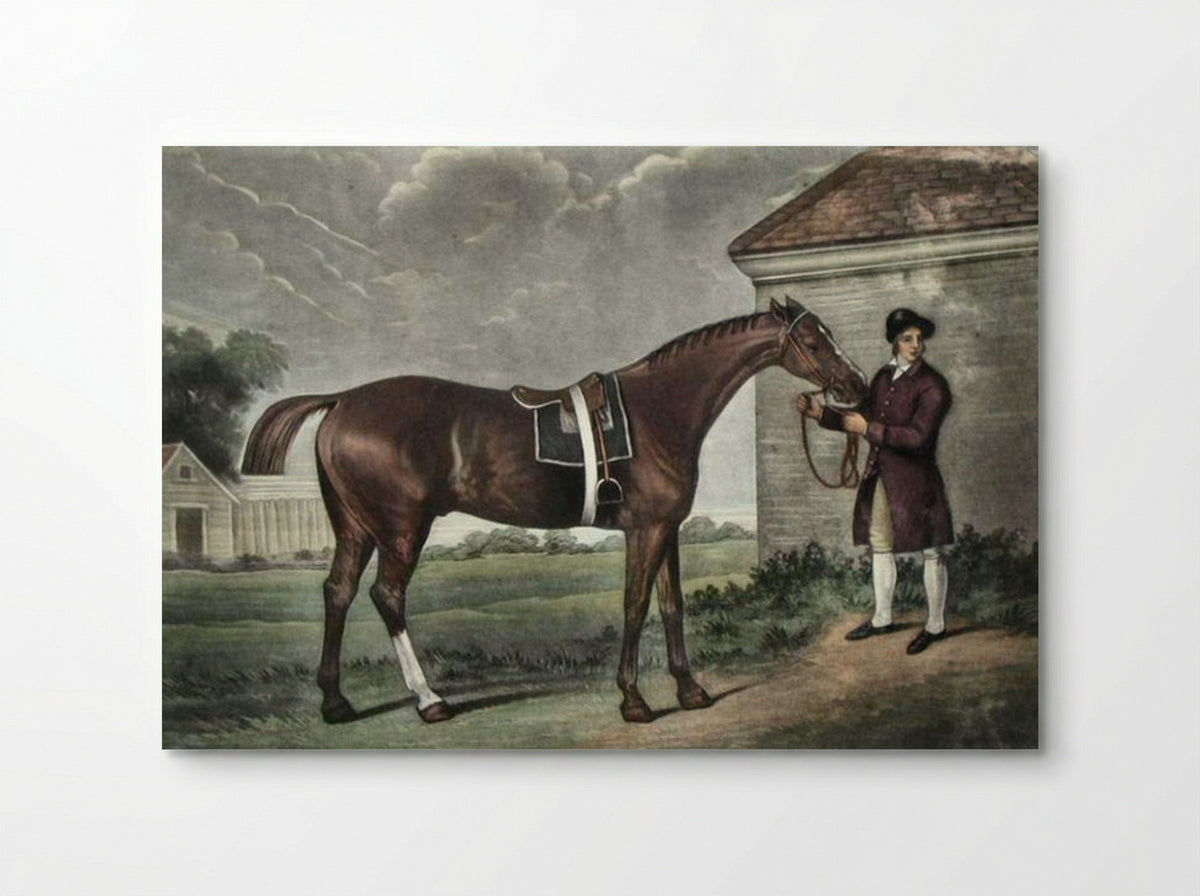 Eclipse - George Stubbs - Poster