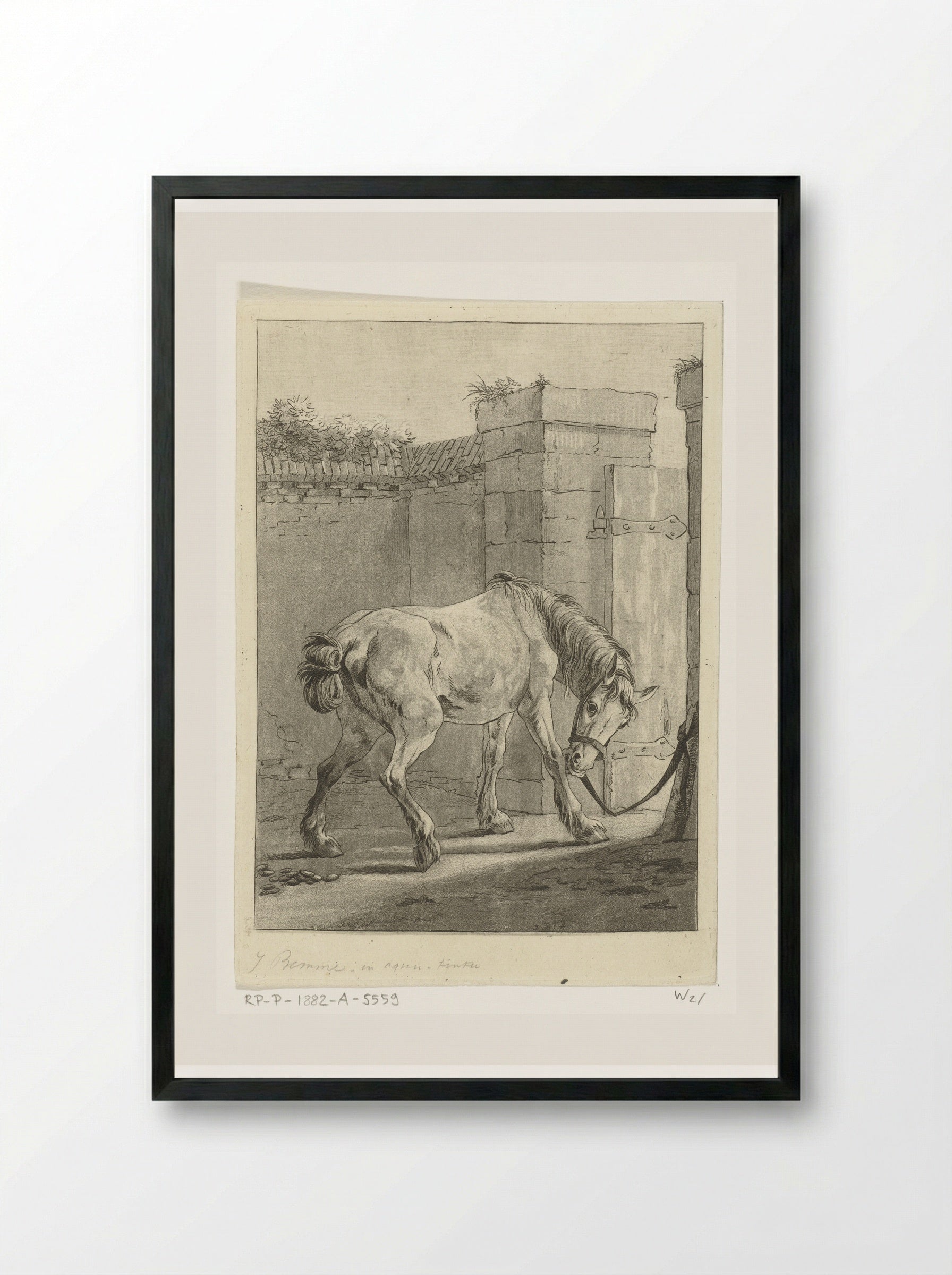 Een paard aan een paal vastgebonden - Joannes Bemme - Framed Print Black