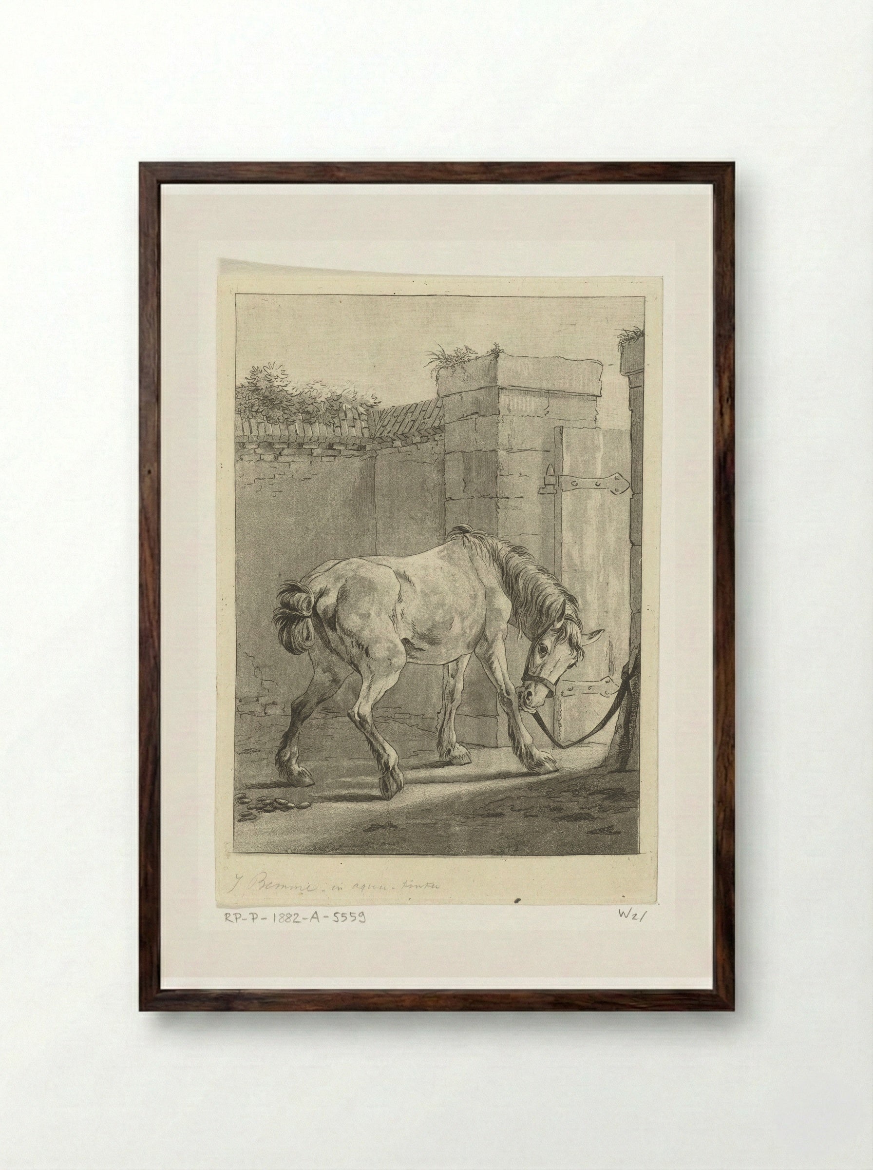 Een paard aan een paal vastgebonden - Joannes Bemme - Framed Print Dark Wood