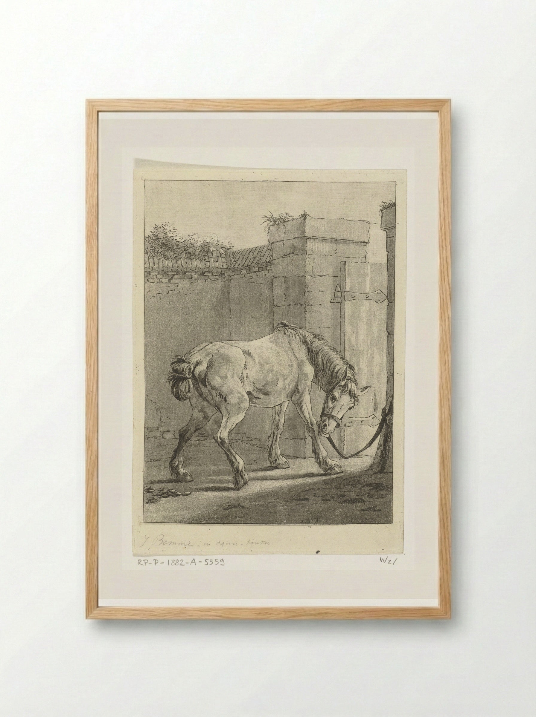 Een paard aan een paal vastgebonden - Joannes Bemme - Framed Print Wood