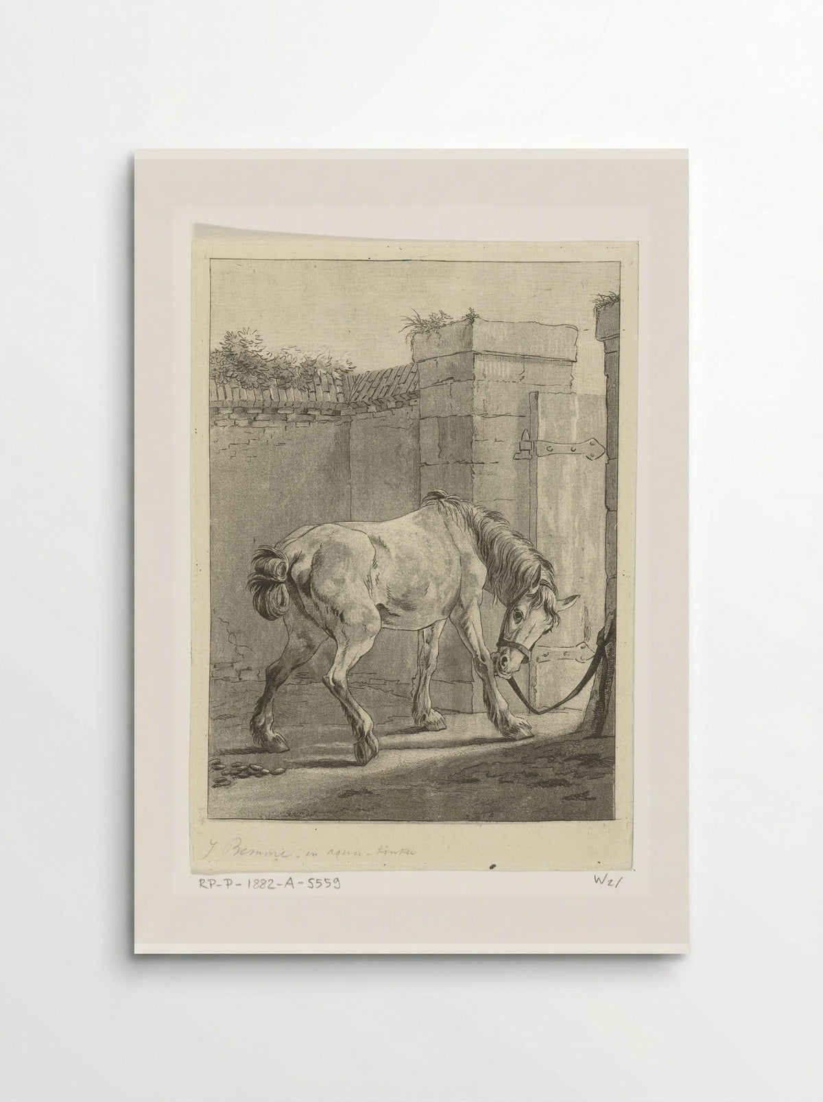 Een paard aan een paal vastgebonden - Joannes Bemme - Poster