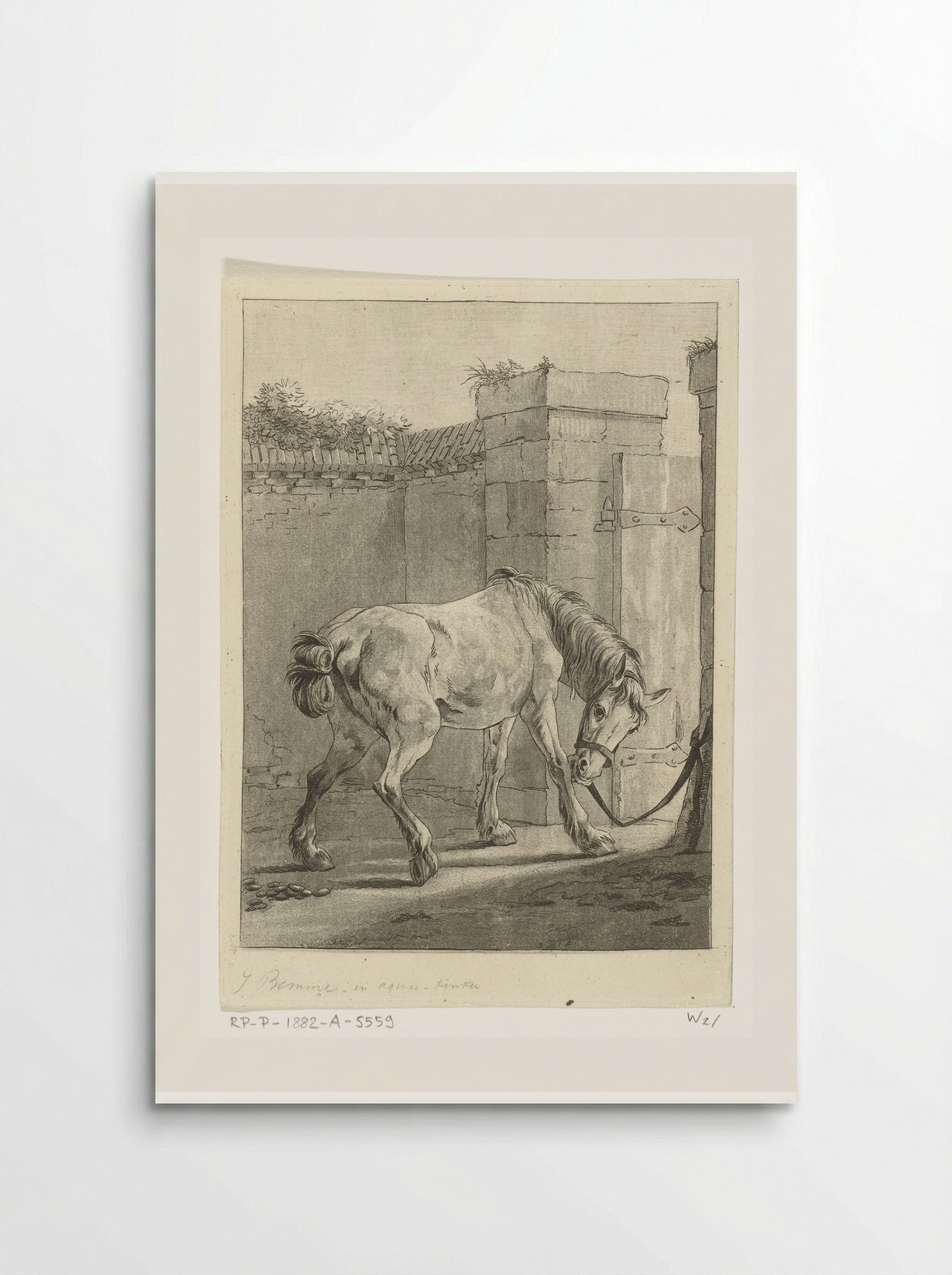 Een paard aan een paal vastgebonden - Joannes Bemme - Poster