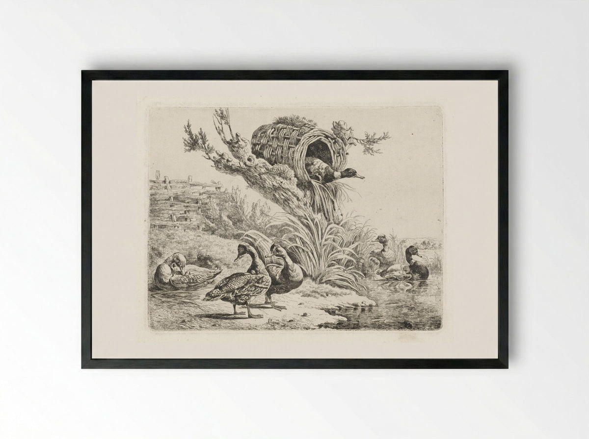 Eenden aan een waterkant - Albertus Verhoesen - Framed Print Black