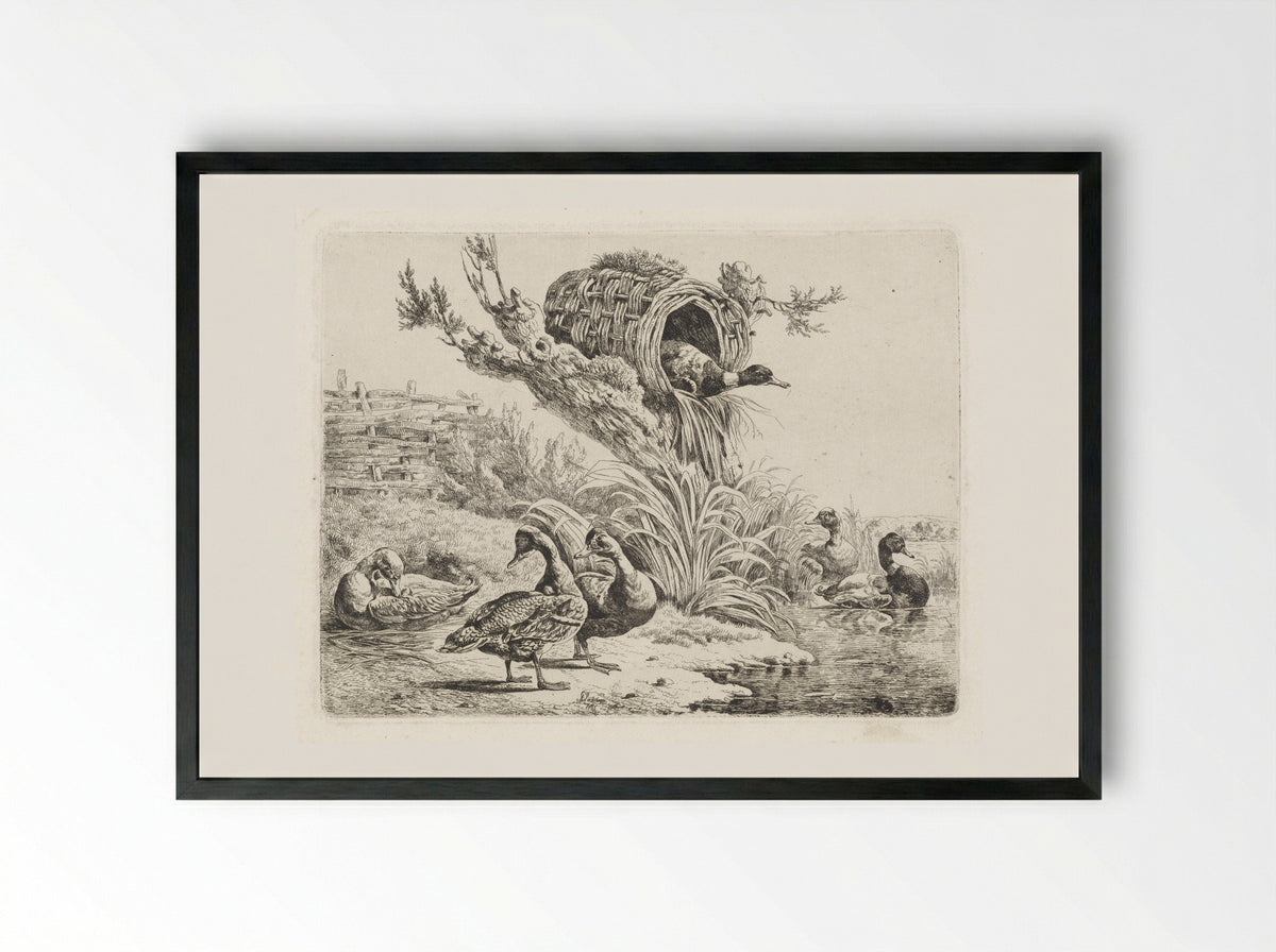 Eenden aan een waterkant - Albertus Verhoesen - Framed Print Black
