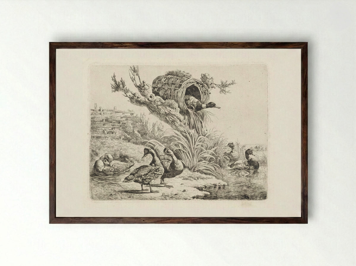 Eenden aan een waterkant - Albertus Verhoesen - Framed Print Dark Wood