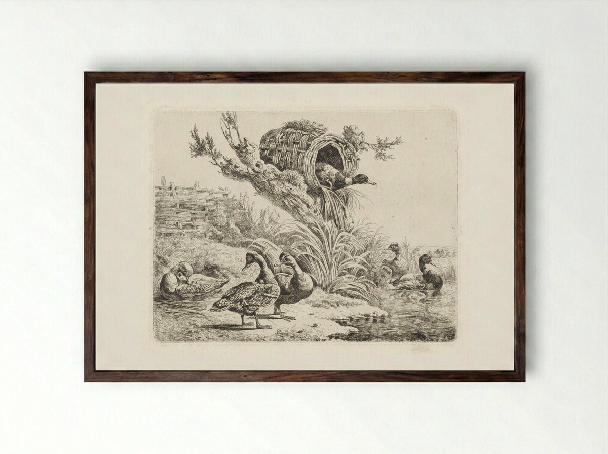 Eenden aan een waterkant - Albertus Verhoesen - Framed Print Dark Wood