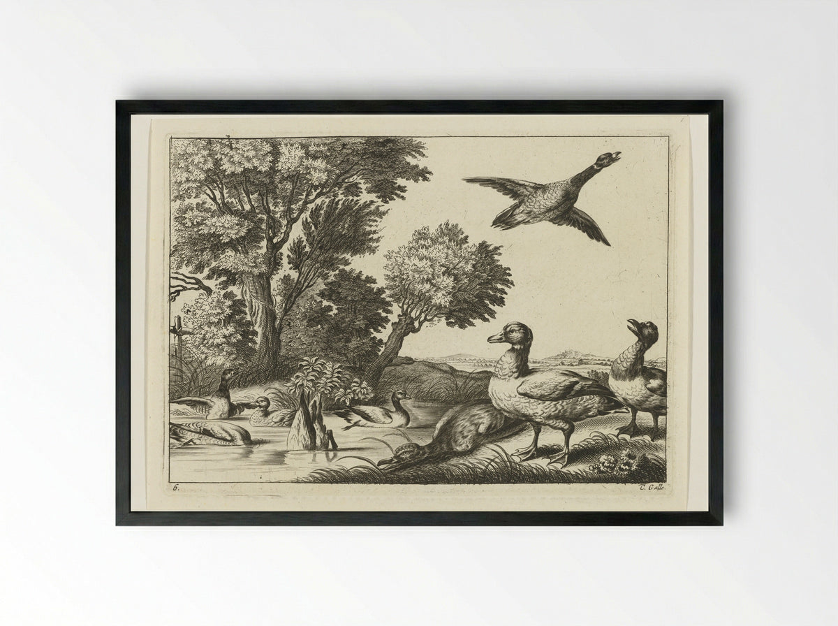 Eenden - Peter van Liesebetten - Framed Print Black