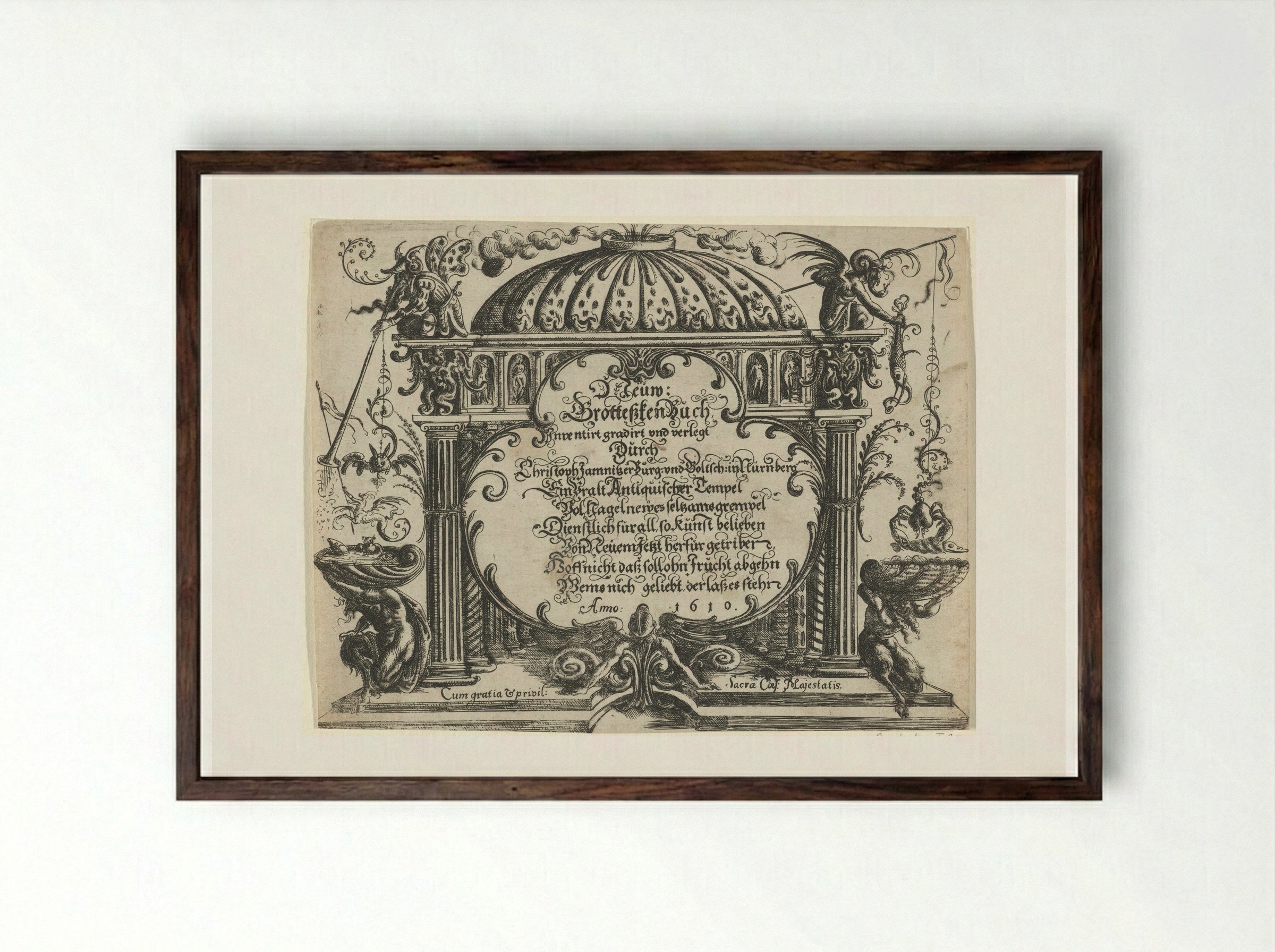Eerste titelblad - Christoph Jamnitzer - Framed Print Dark Wood
