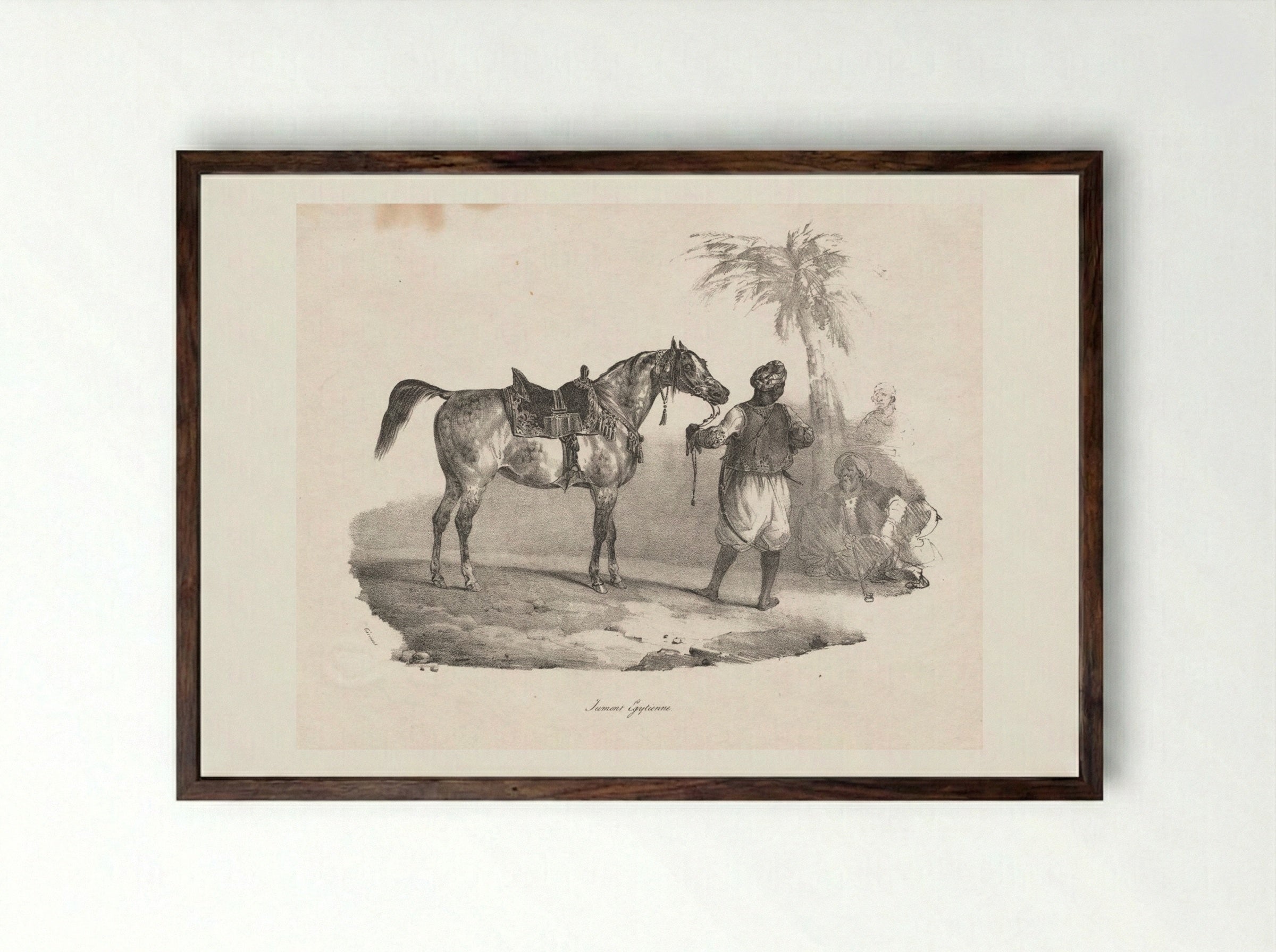 Egyptian Mare - Théodore Géricault - Framed Print Dark Wood