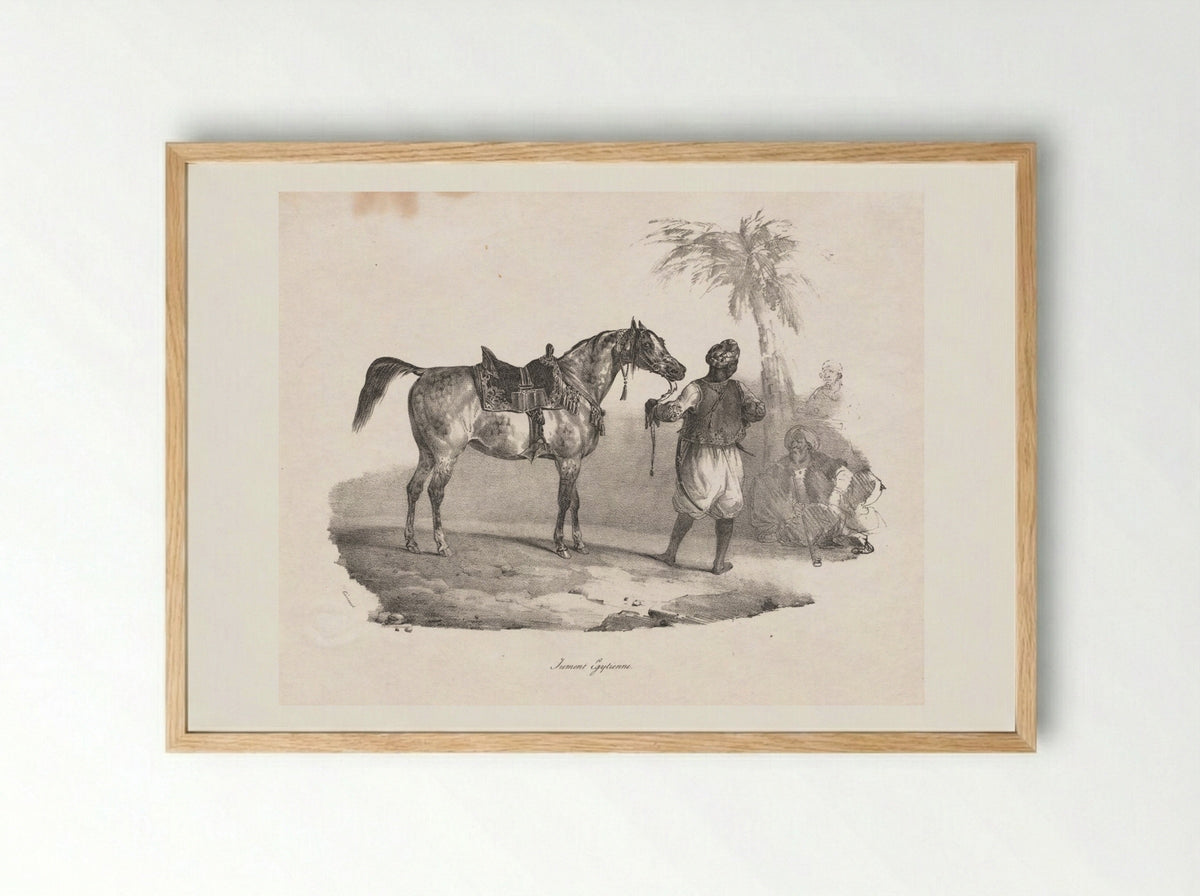 Egyptian Mare - Théodore Géricault - Framed Print Wood