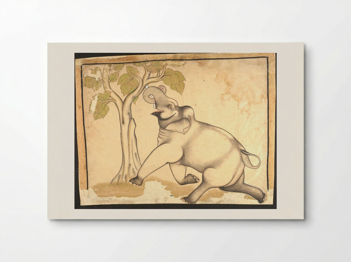 Elephant Under a Tree - Shaykh Taju - Poster