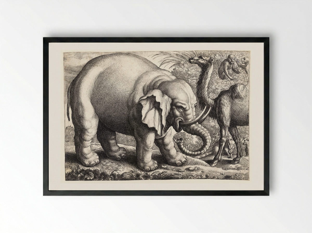 Elephant and Camel - Wenceslaus Hollar - Framed Print Black