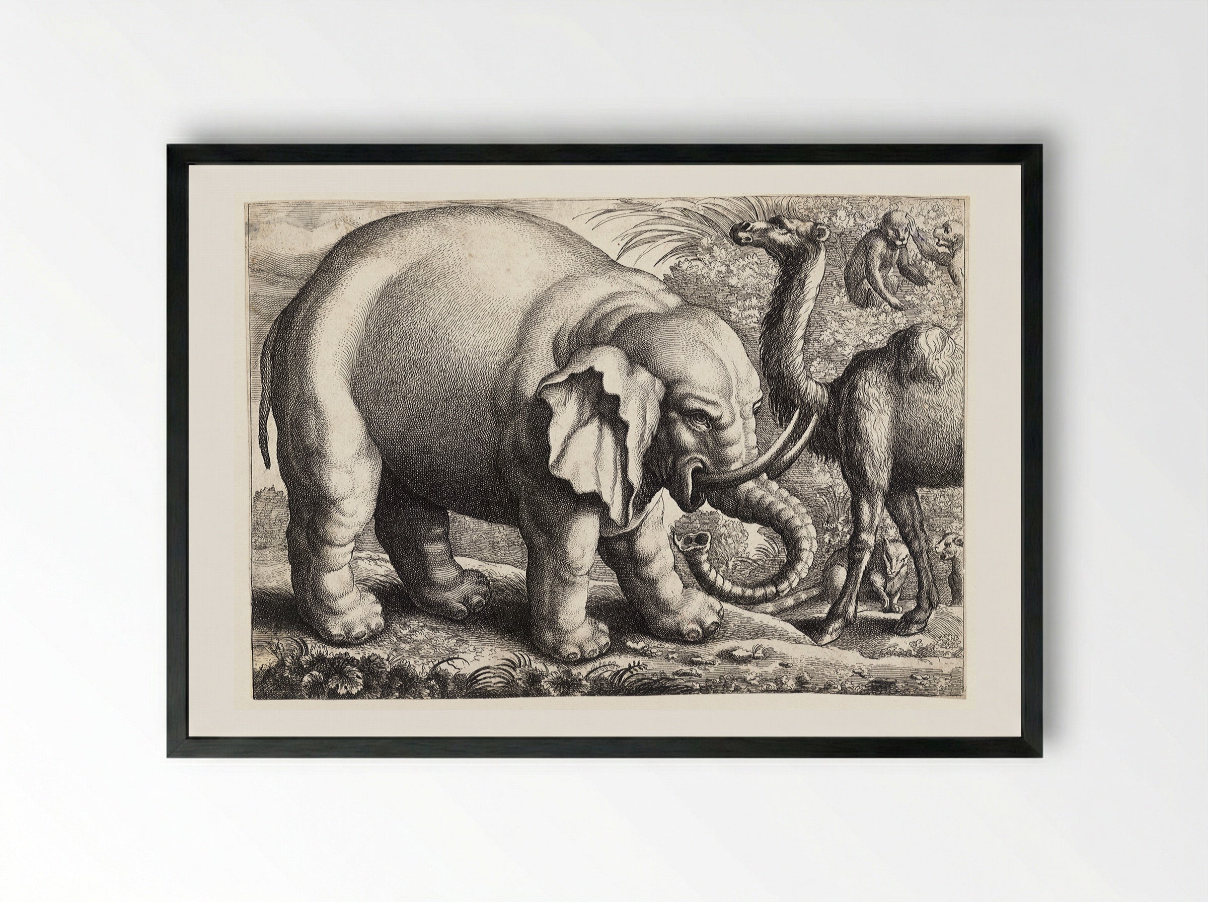 Elephant and Camel - Wenceslaus Hollar - Framed Print Black