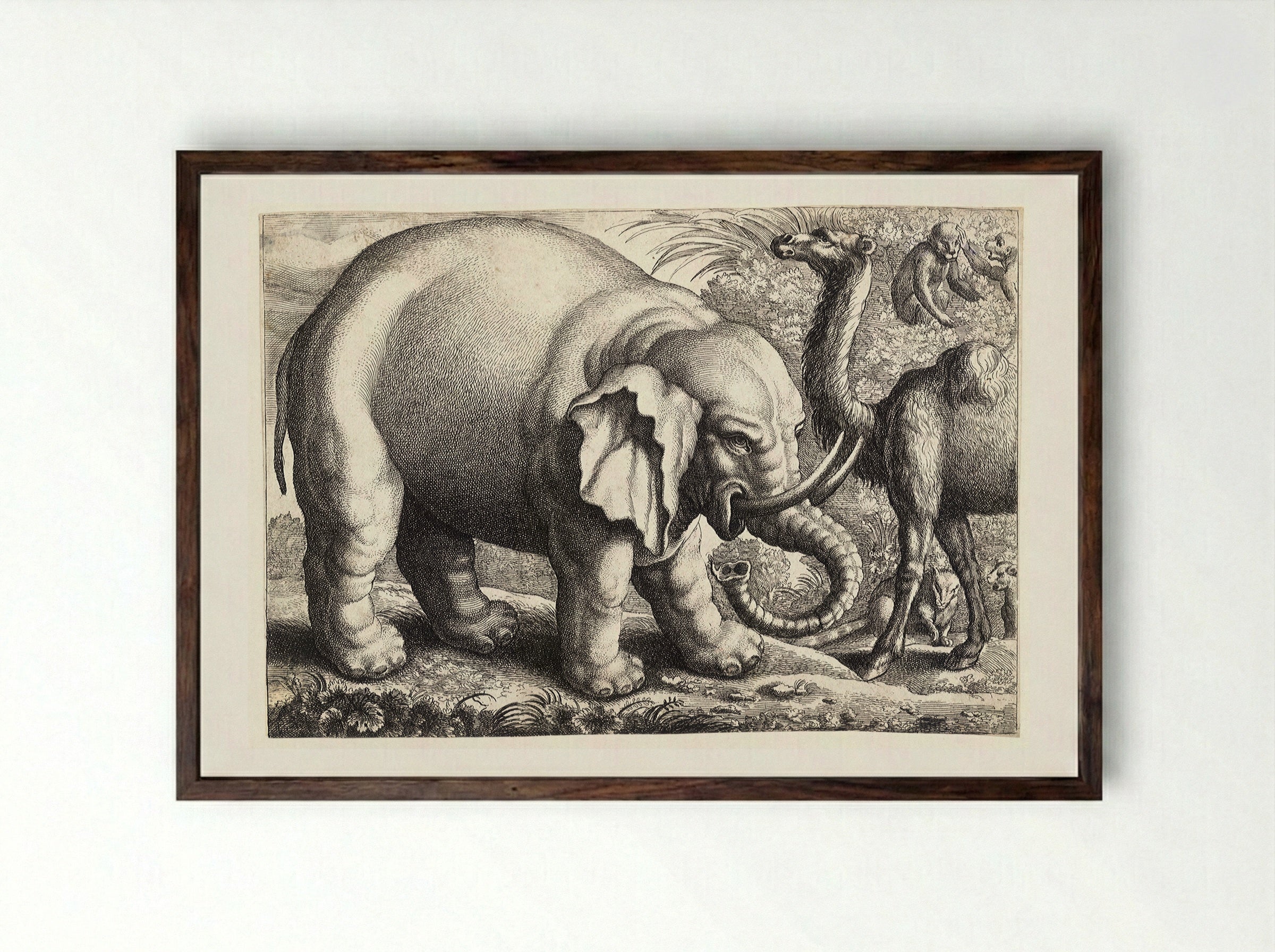 Elephant and Camel - Wenceslaus Hollar - Framed Print Dark Wood