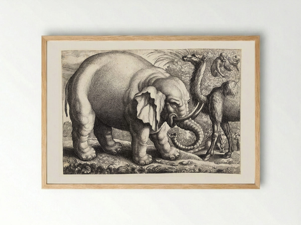Elephant and Camel - Wenceslaus Hollar - Framed Print Wood