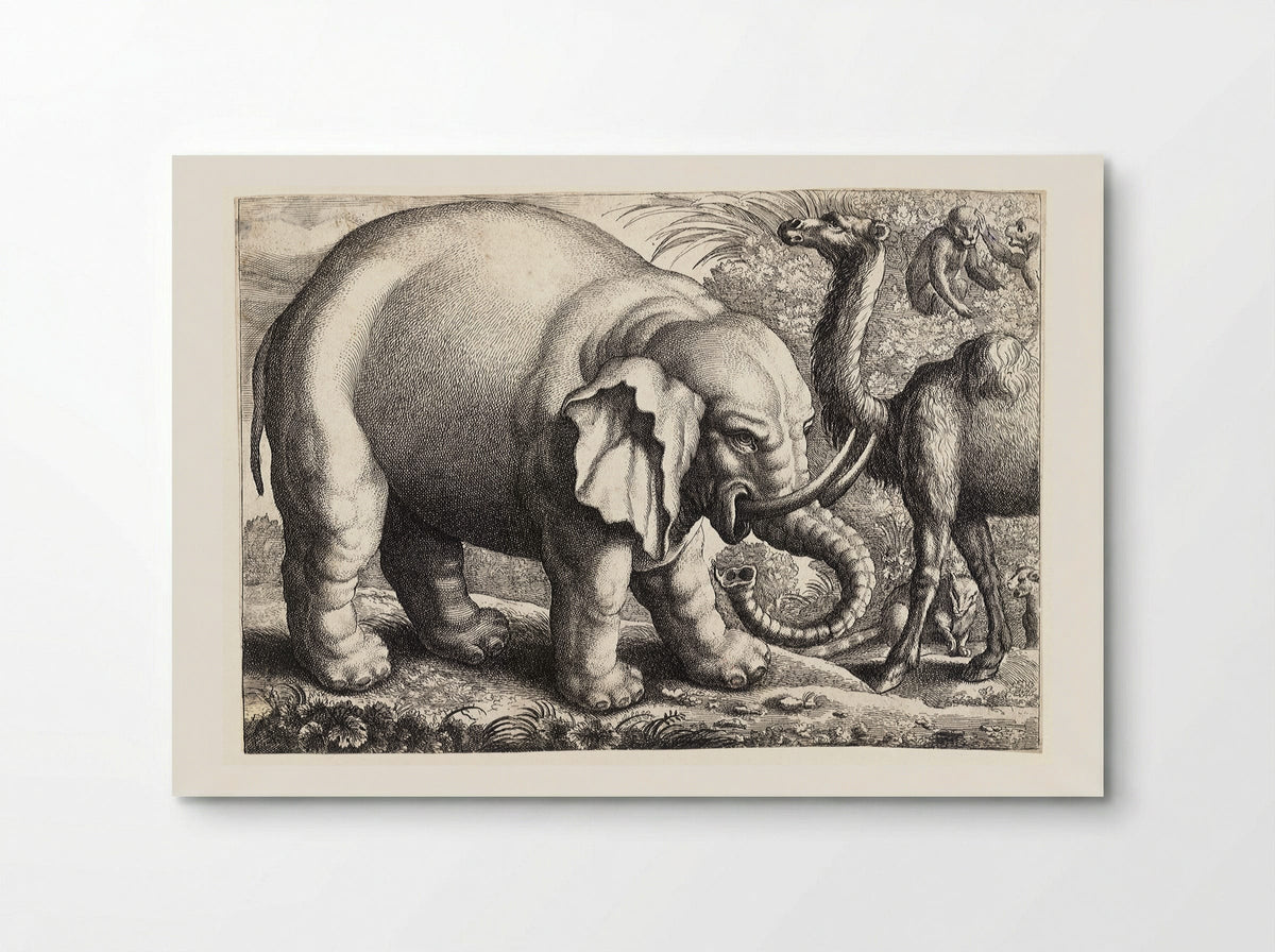 Elephant and Camel - Wenceslaus Hollar - Poster