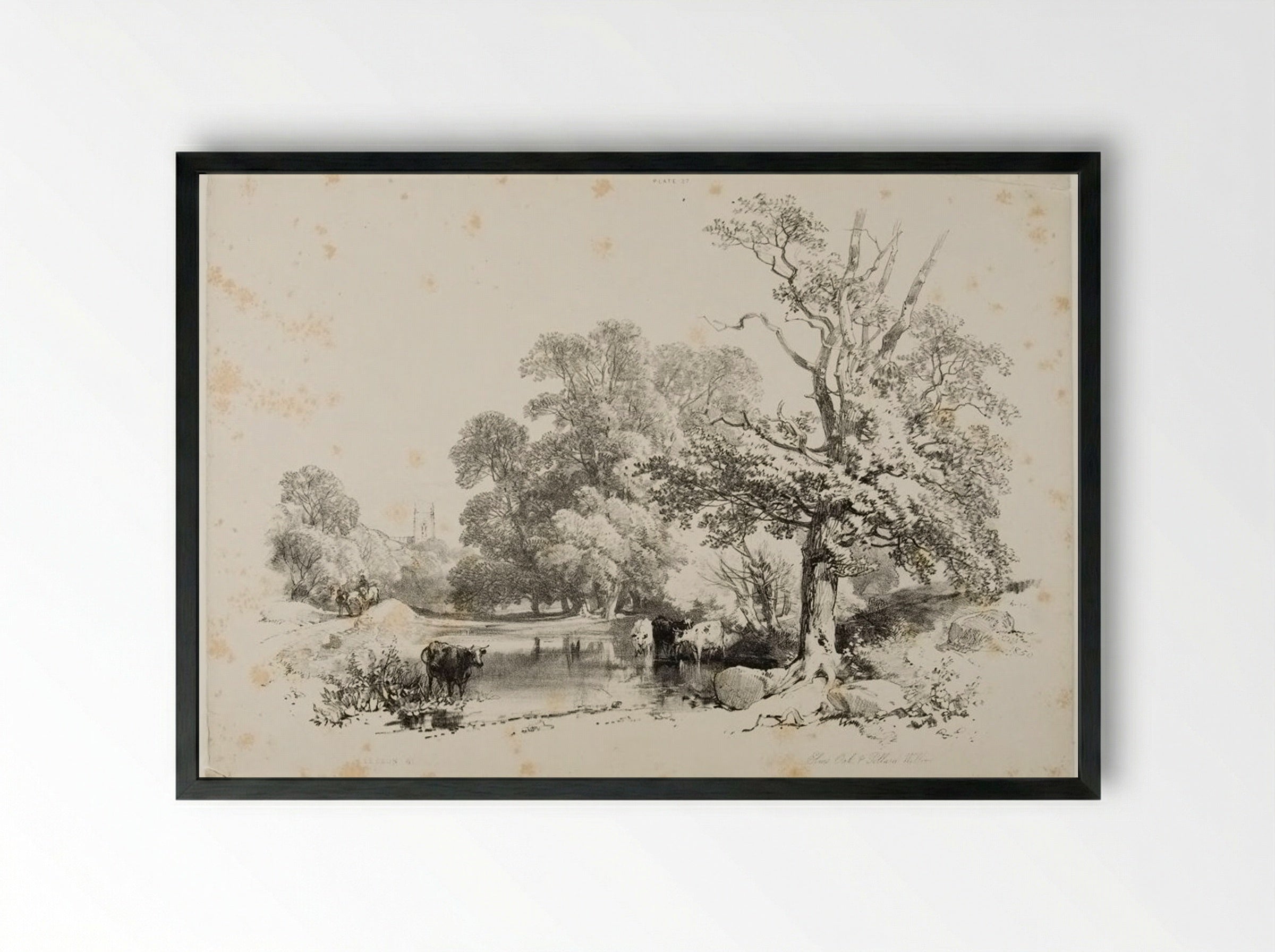 Elms, Oak and Pollard Willow - James Duffield Harding - Framed Print Black