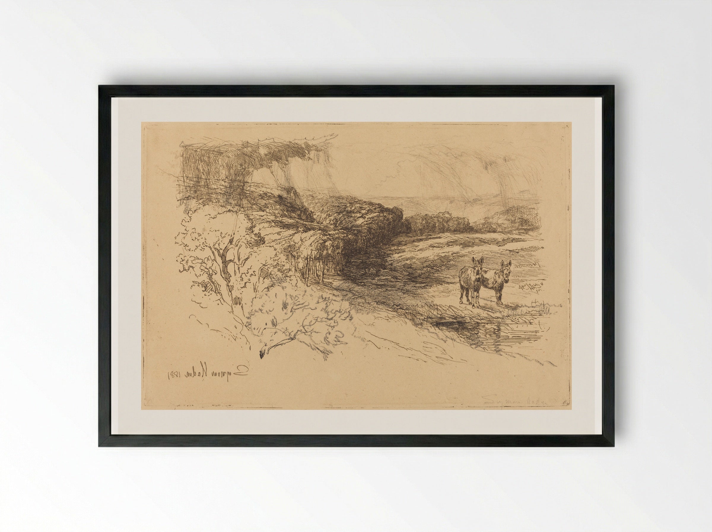 Encombe Woods - Francis Seymour Haden - Framed Print Black