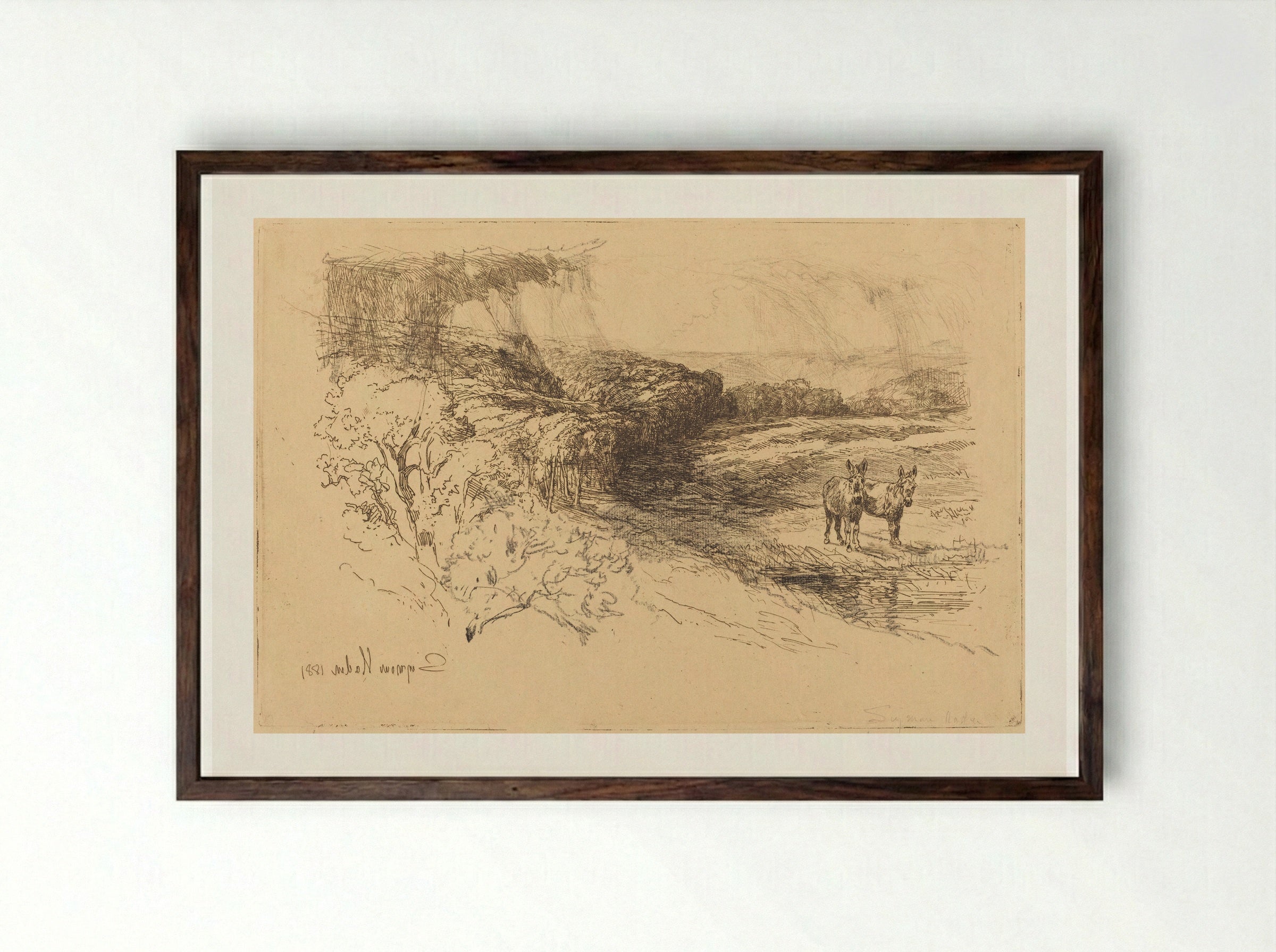 Encombe Woods - Francis Seymour Haden - Framed Print Dark Wood