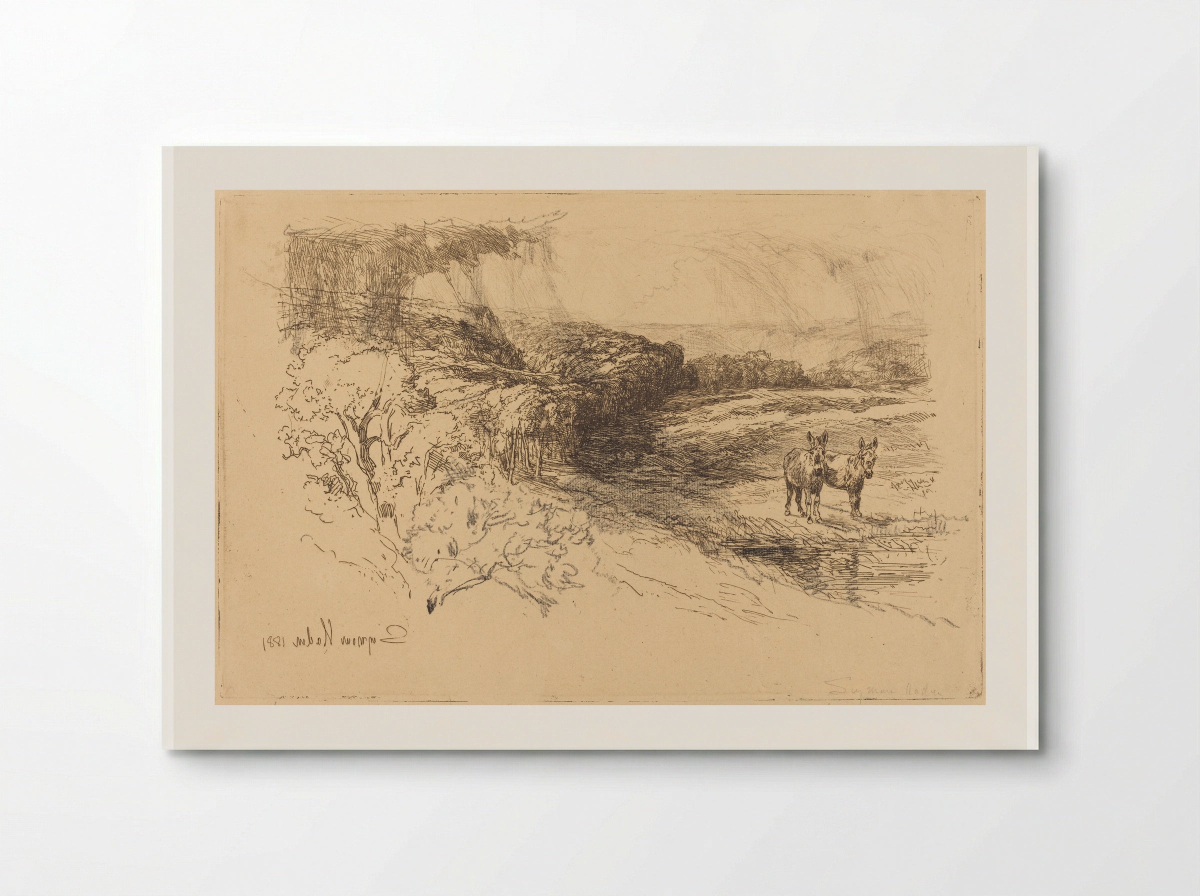 Encombe Woods - Francis Seymour Haden - Poster