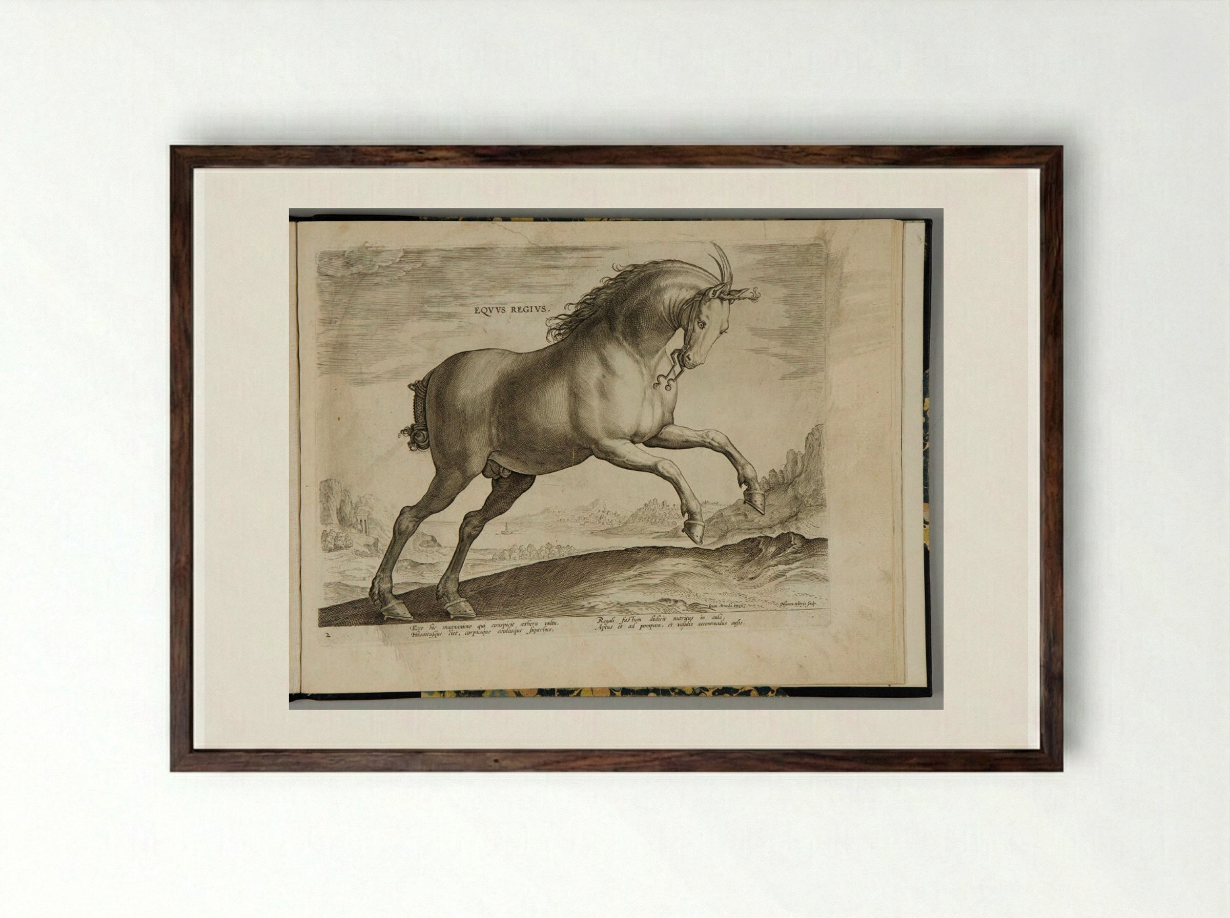 Eqvile Ioannis Avstriaci Caroli V - Hieronymus Wierix - Framed Print Dark Wood